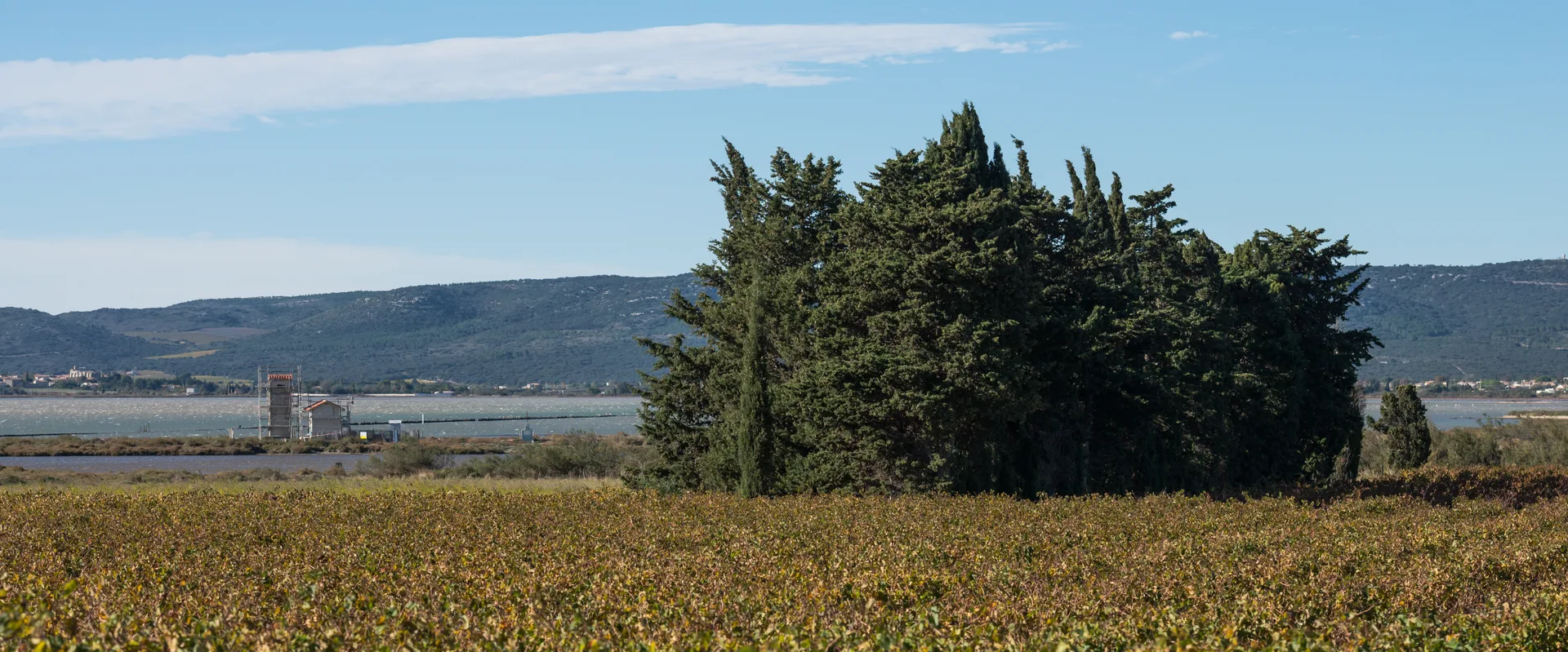 Étangs palavasiens à Villeneuve-lès-Maguelone — À 589 m du lac