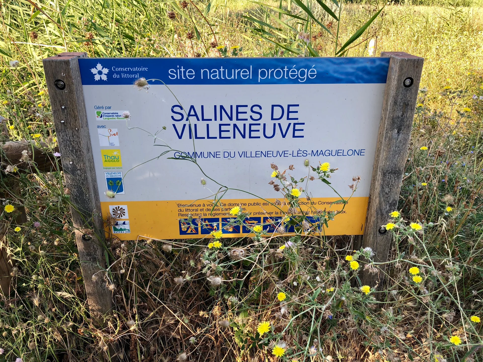 Étangs palavasiens à Villeneuve-lès-Maguelone — À 638 m du lac
