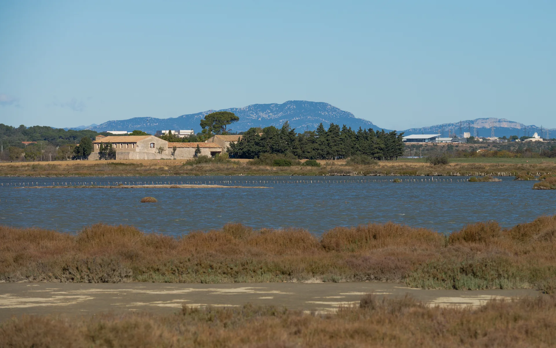 Étangs palavasiens à Villeneuve-lès-Maguelone — À 1,0 km du lac