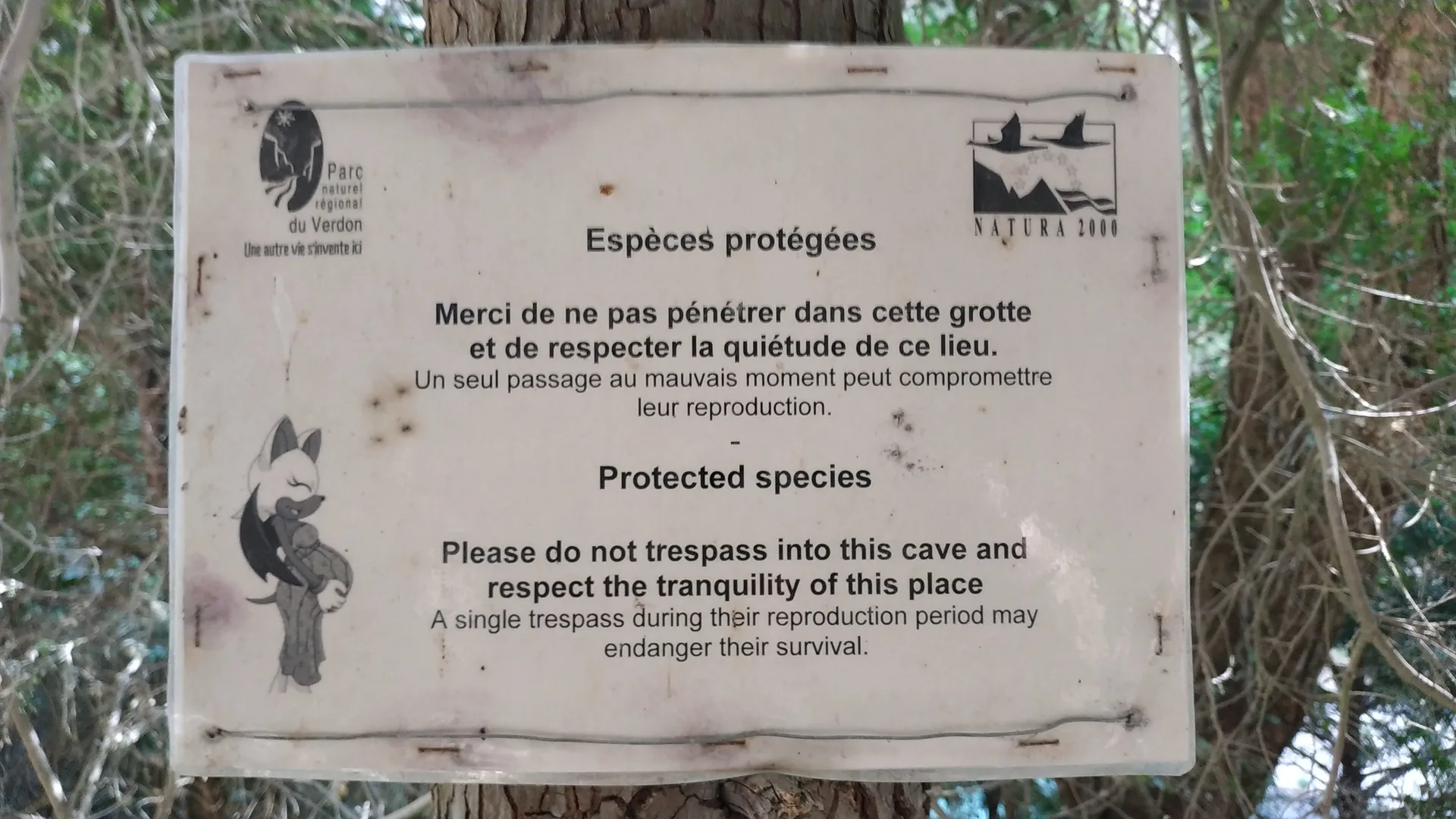 Gorges du Verdon à Aiguines — À 1,8 km du lac