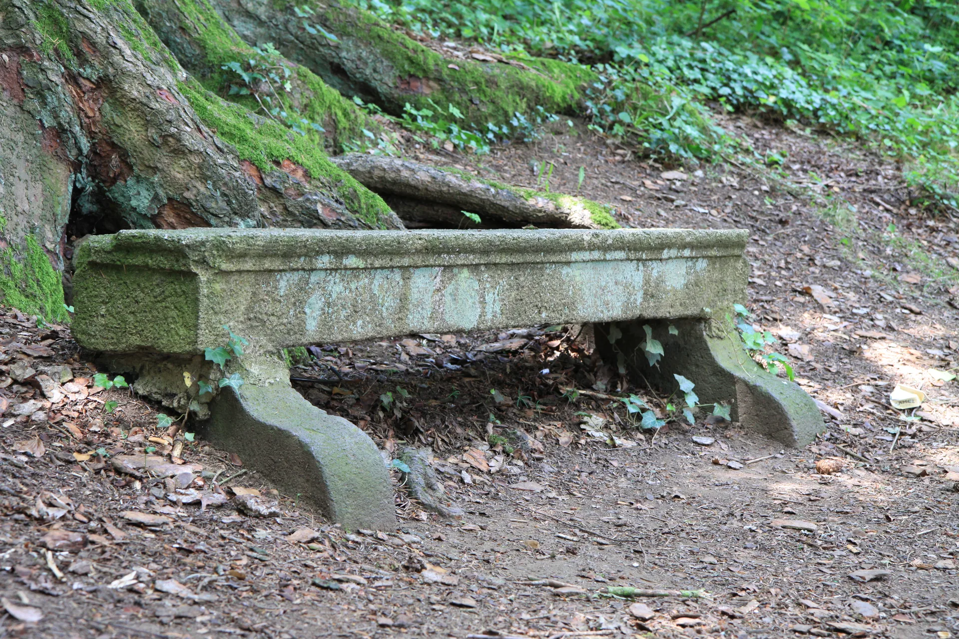 Gour de Tazenat à Charbonnières-les-Vieilles — À 408 m du lac