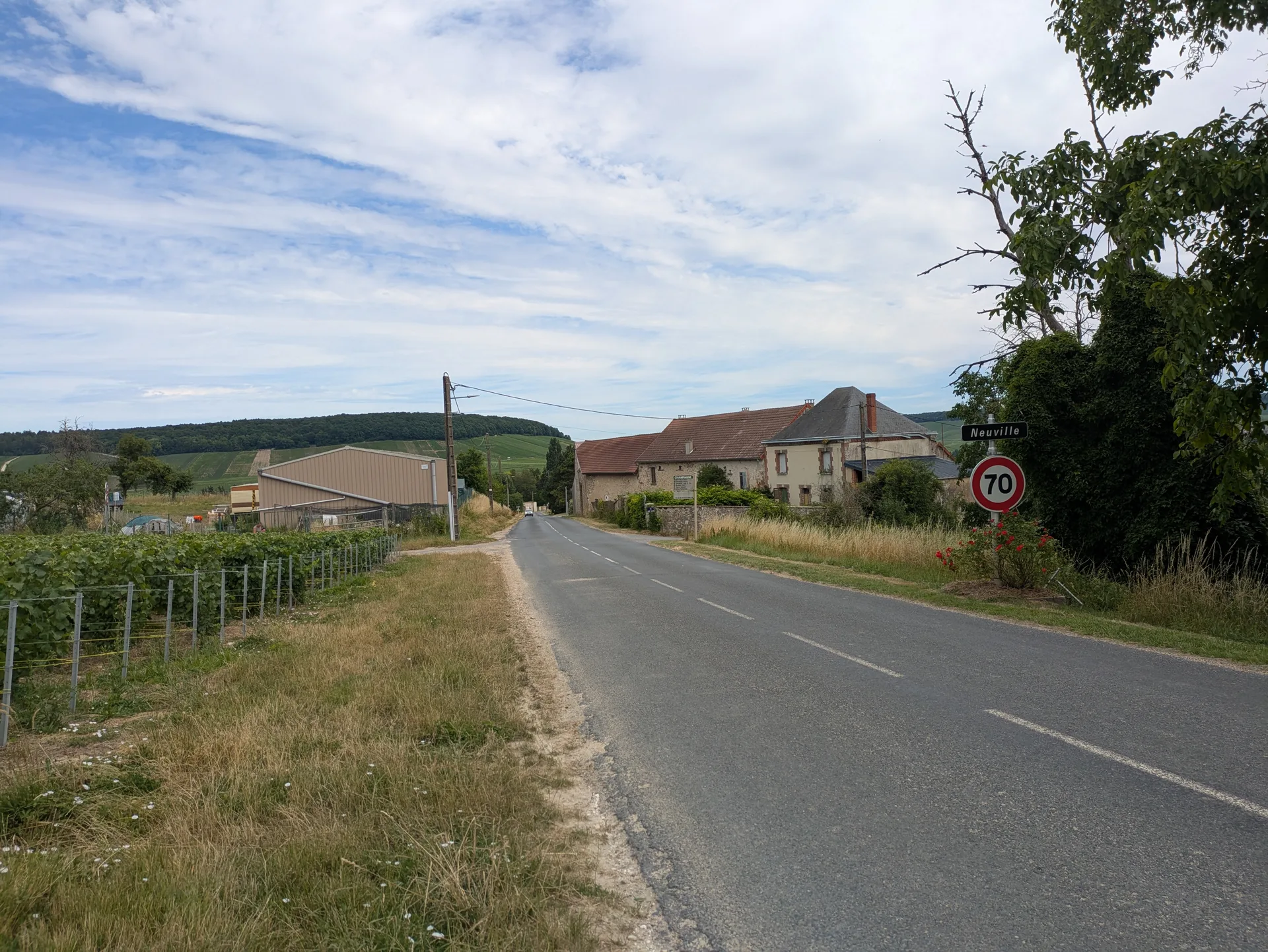 Grand Etang du Roi à Igny-Comblizy — À 3,9 km du lac