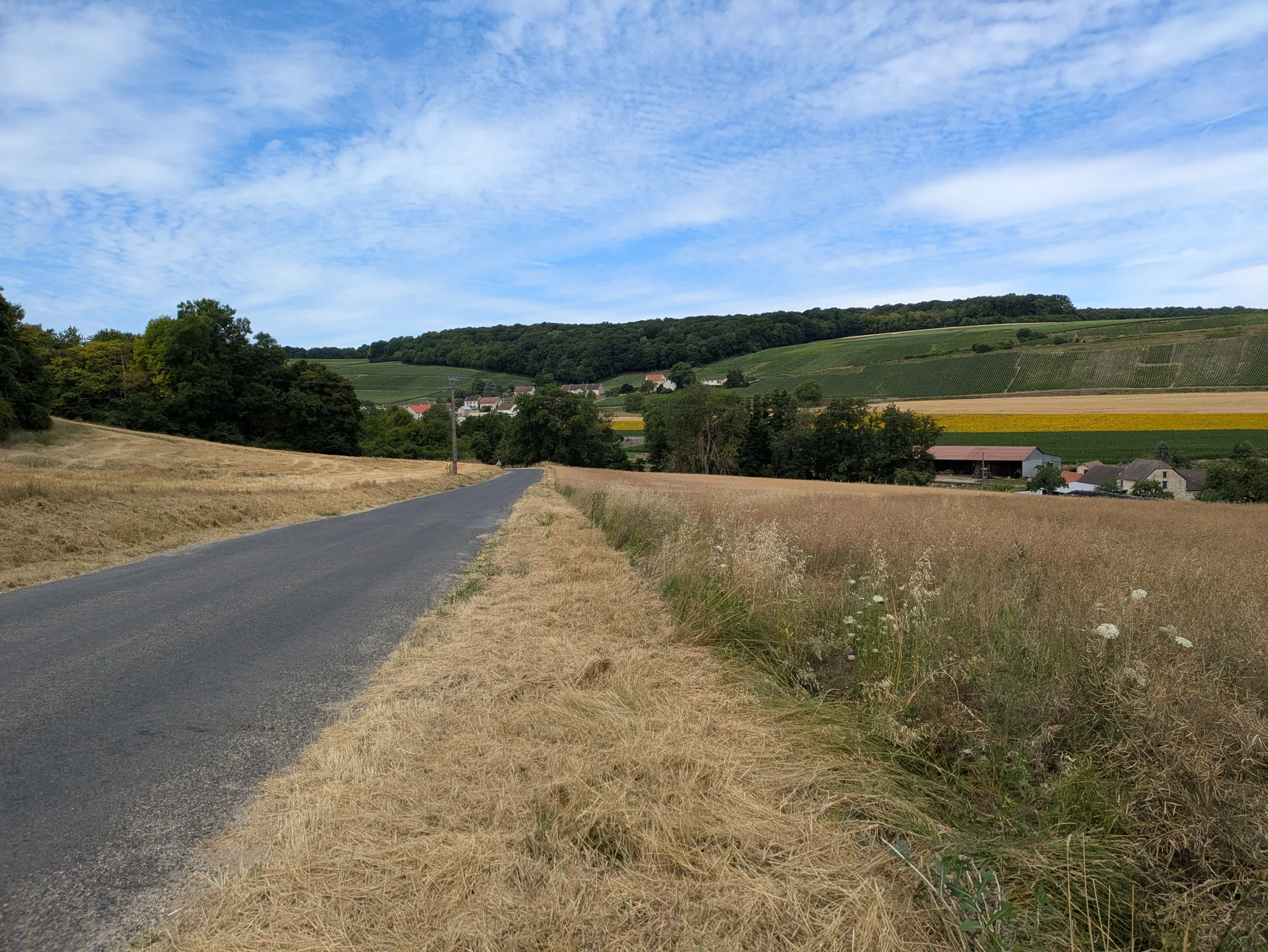 Grand Etang du Roi à Igny-Comblizy — À 4,3 km du lac