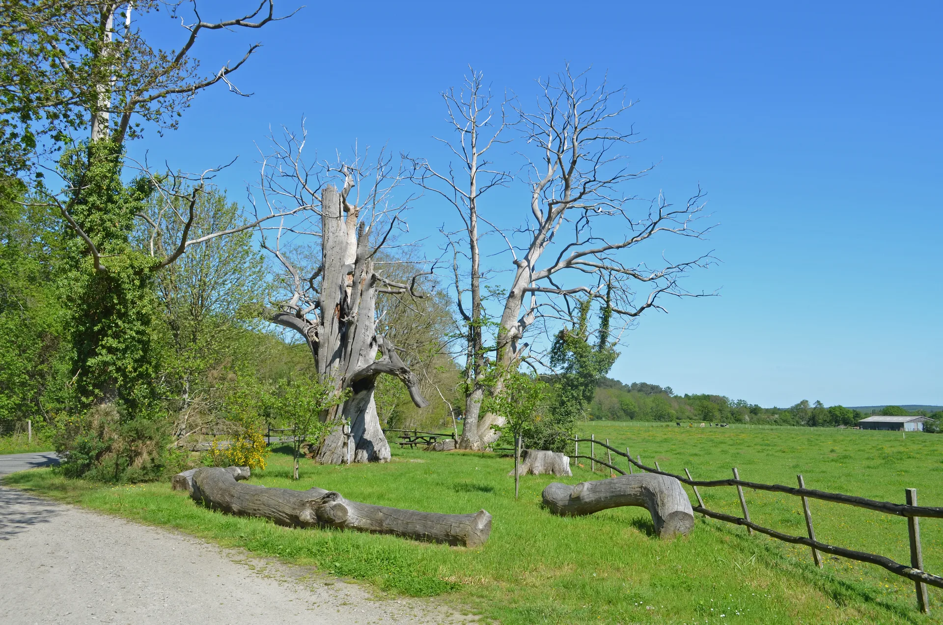 Grand Reservoir de Vioreau à Joué-sur-Erdre — À 4,4 km du lac