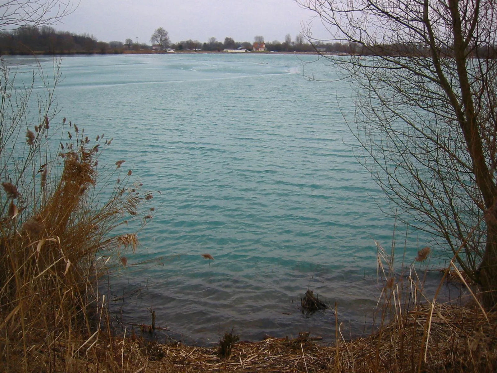 Gravière de Lauterbourg à Lauterbourg — À 428 m du lac
