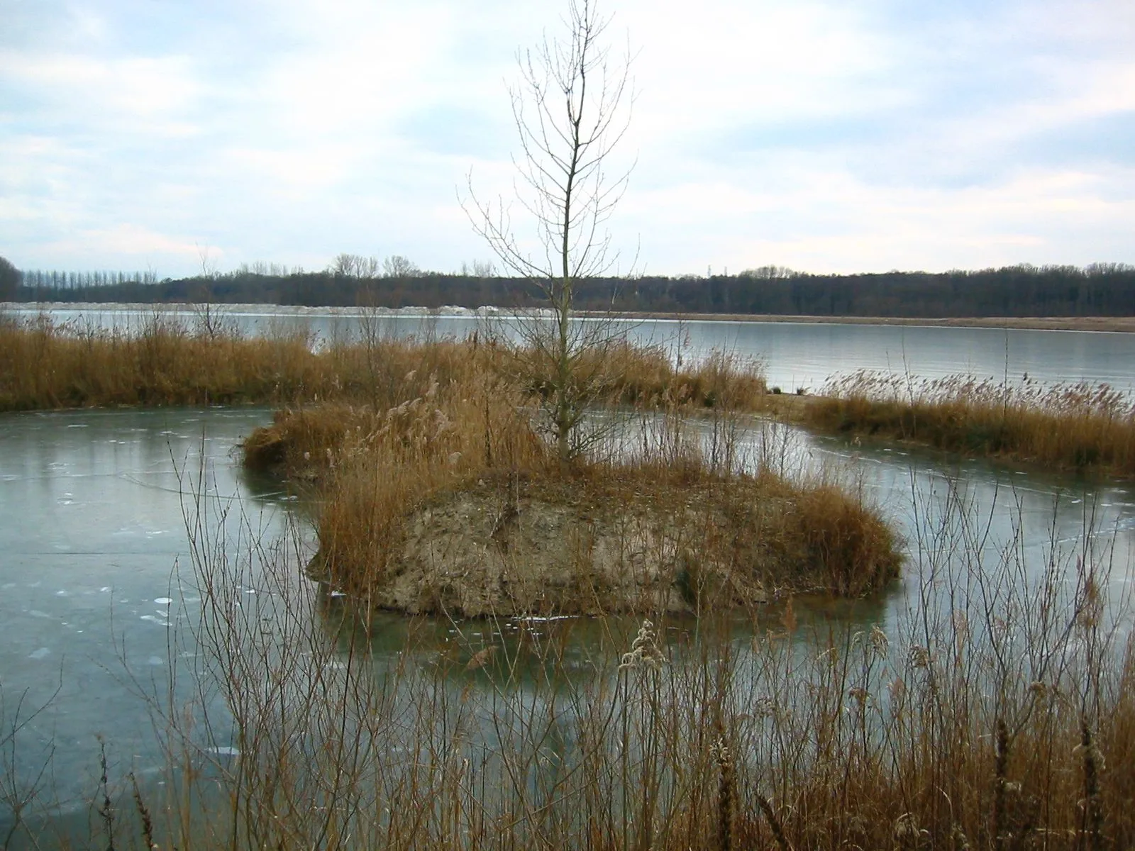 Gravière de Lauterbourg à Lauterbourg — À 586 m du lac