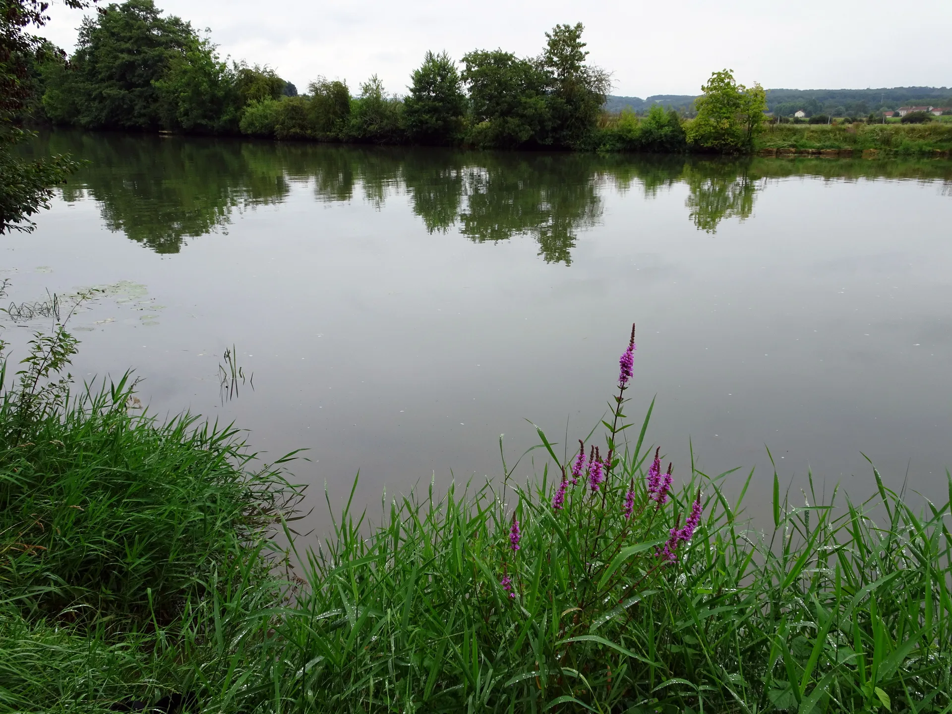 La Grande Ballastiere à Nouvion-sur-Meuse — À 851 m du lac