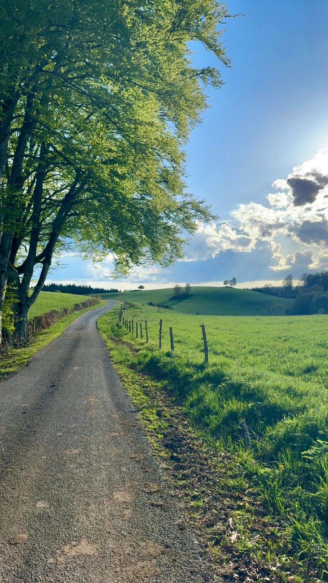 La Peyrouse à Saint-Rémy — À 4,2 km du lac