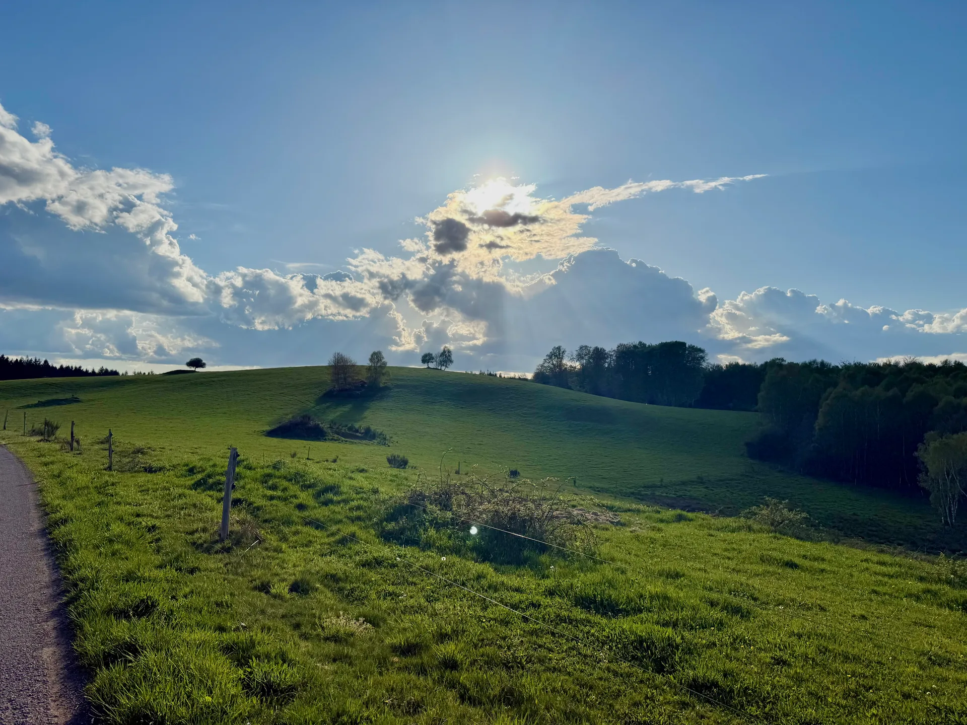La Peyrouse à Saint-Rémy — À 4,3 km du lac