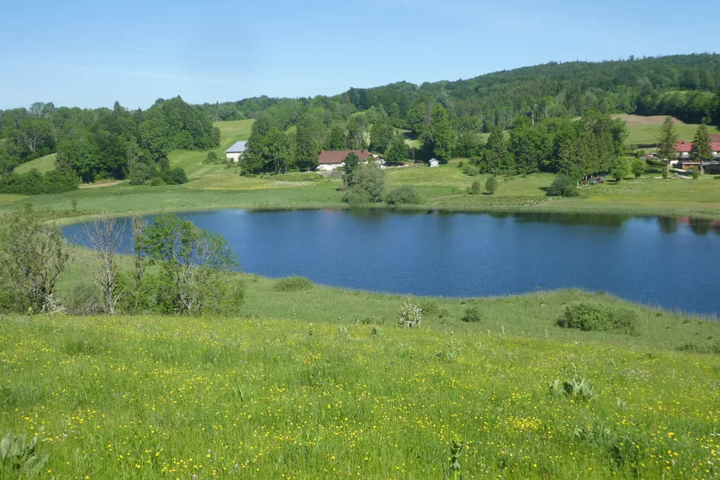 Lac à la Dame, Foncine-le-Bas