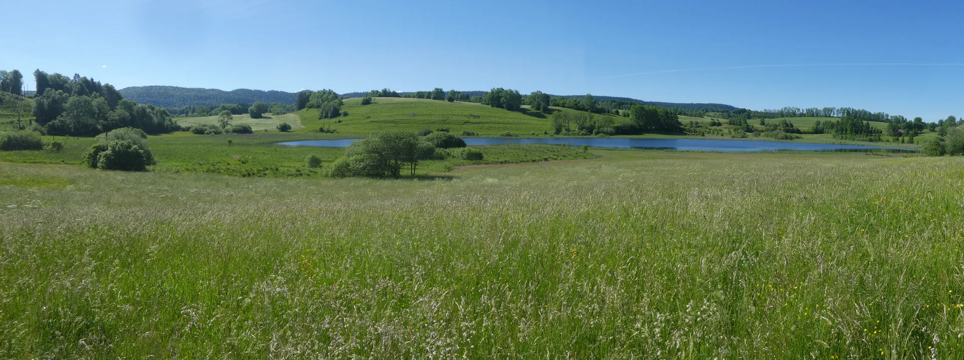 Lac à la Dame à Foncine-le-Bas — À 255 m du lac