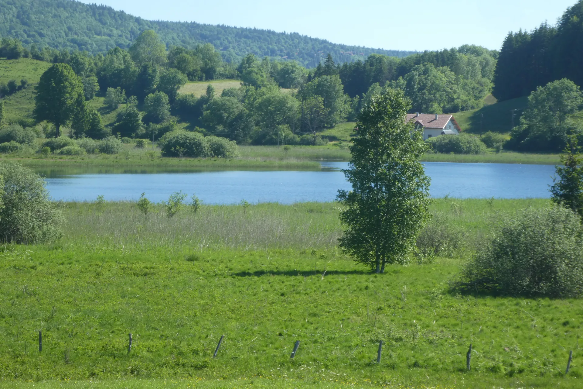 Lac à la Dame à Foncine-le-Bas — À 360 m du lac