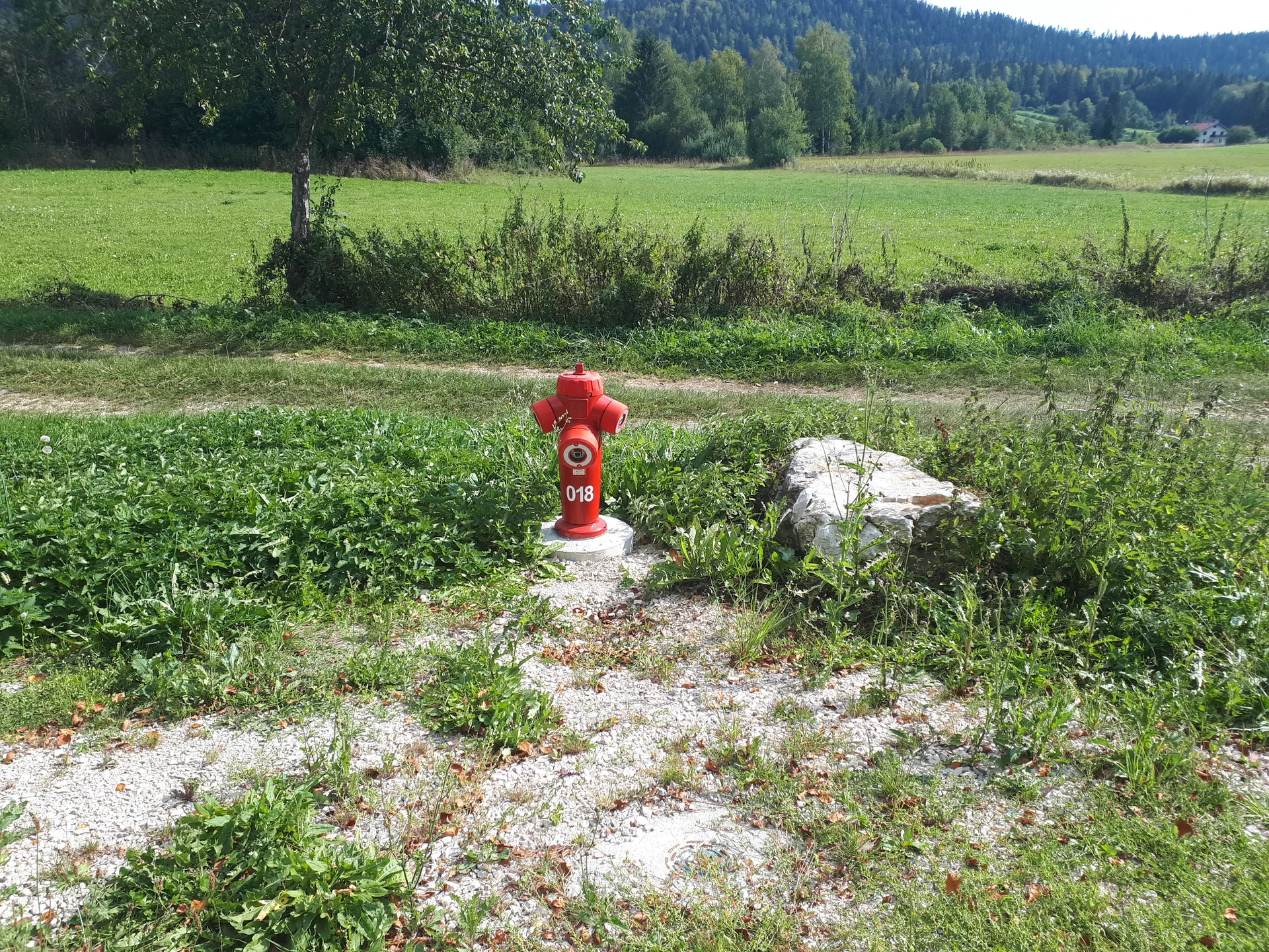 Lac à la Dame à Foncine-le-Bas — À 1,0 km du lac