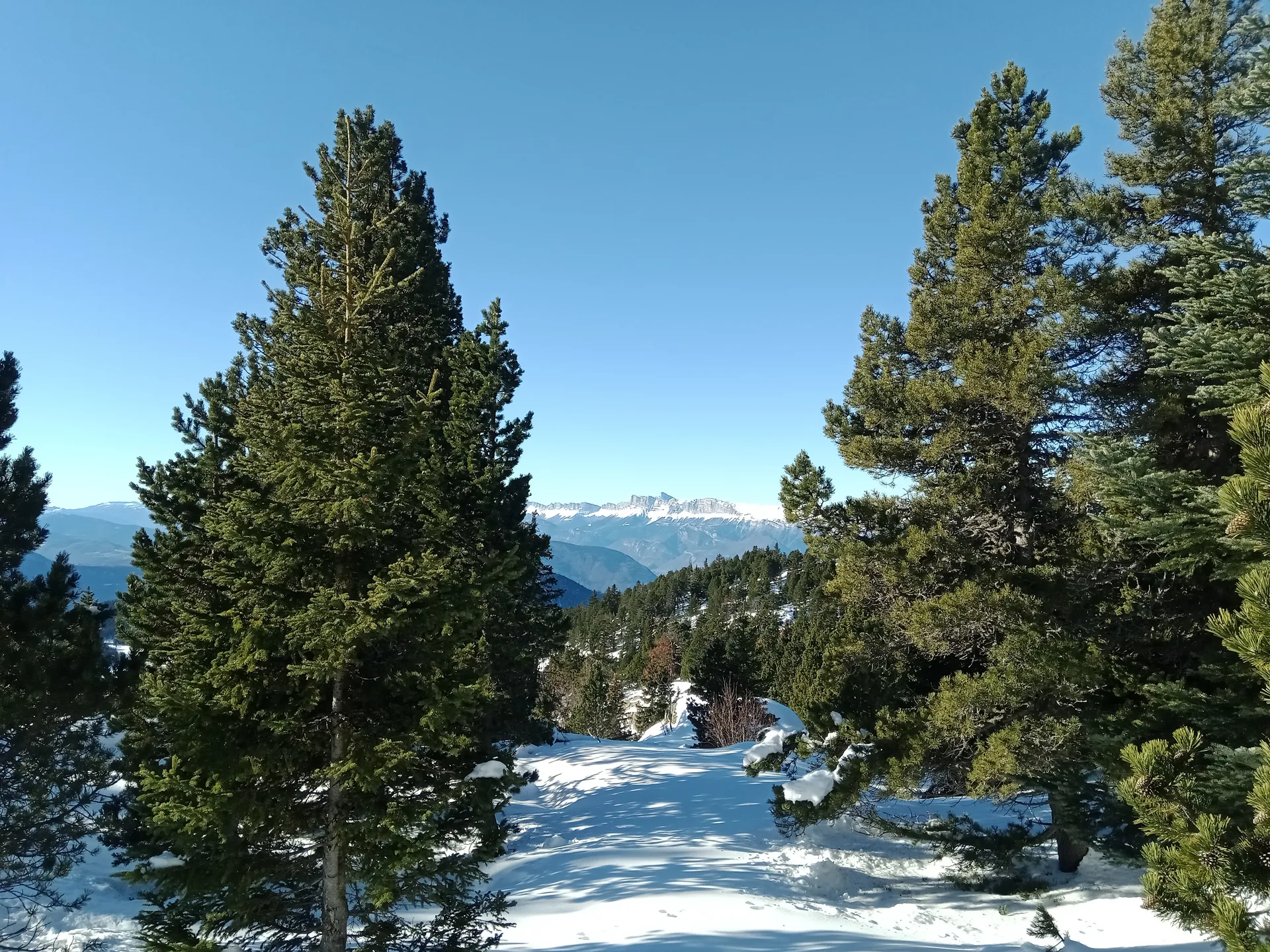 Lac Achard à Chamrousse — À 571 m du lac