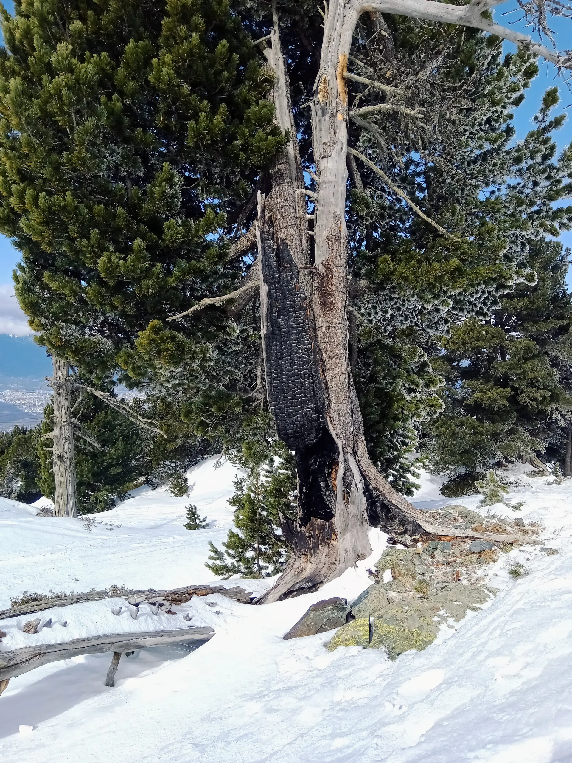 Lac Achard à Chamrousse — À 848 m du lac
