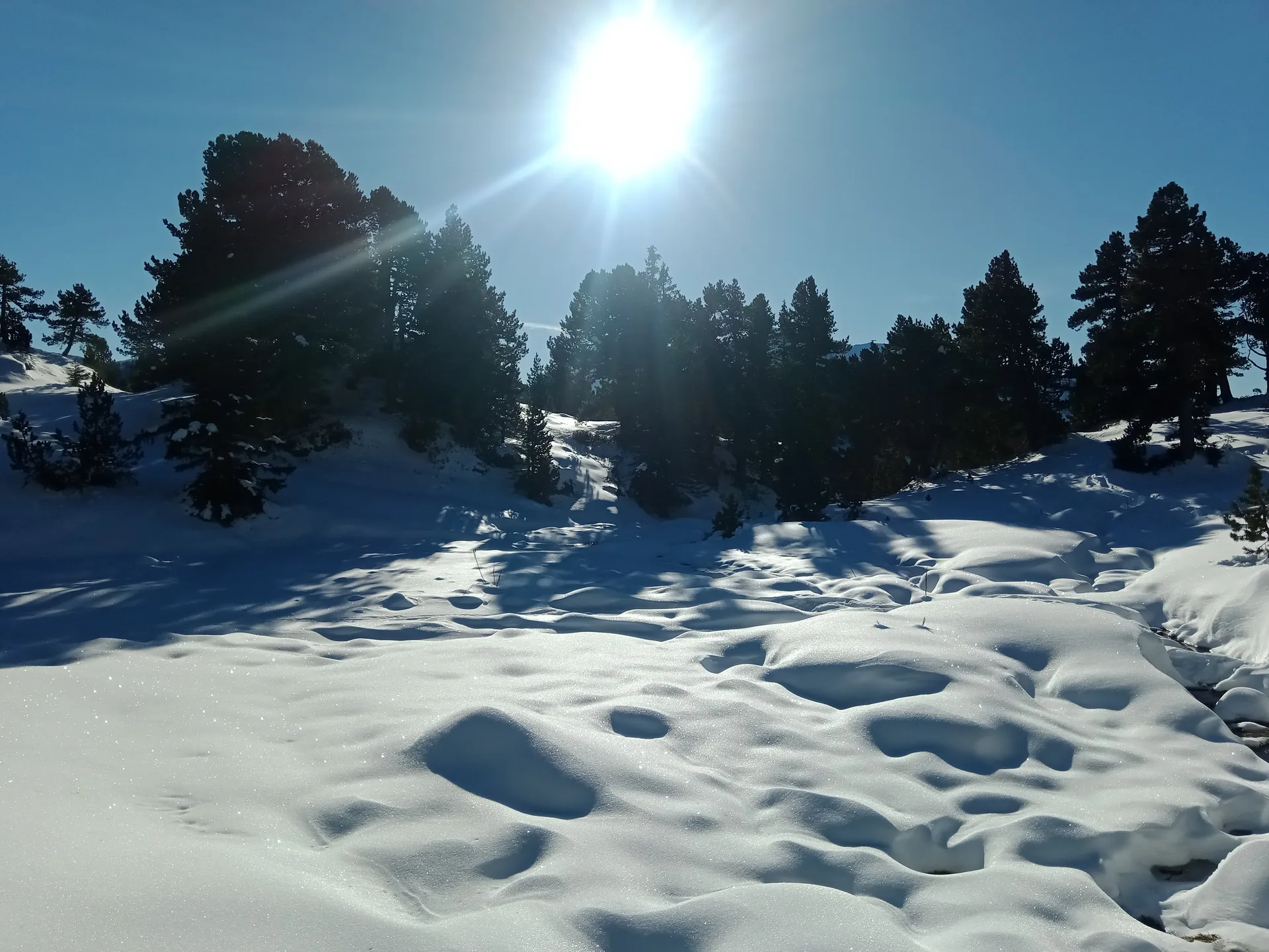 Lac Achard à Chamrousse — À 234 m du lac