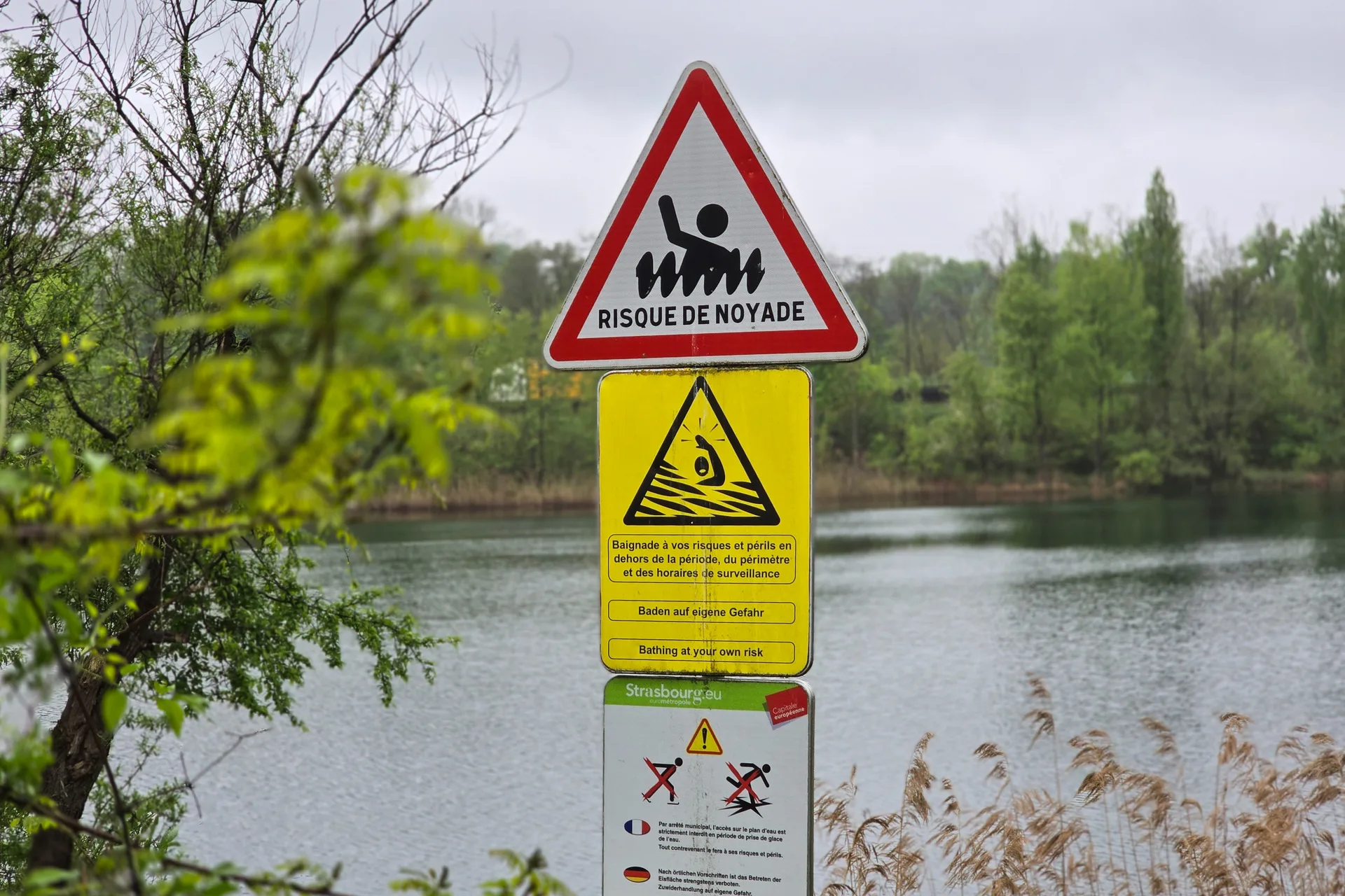 Lac Achard à Illkirch-Graffenstaden — Sur le lac