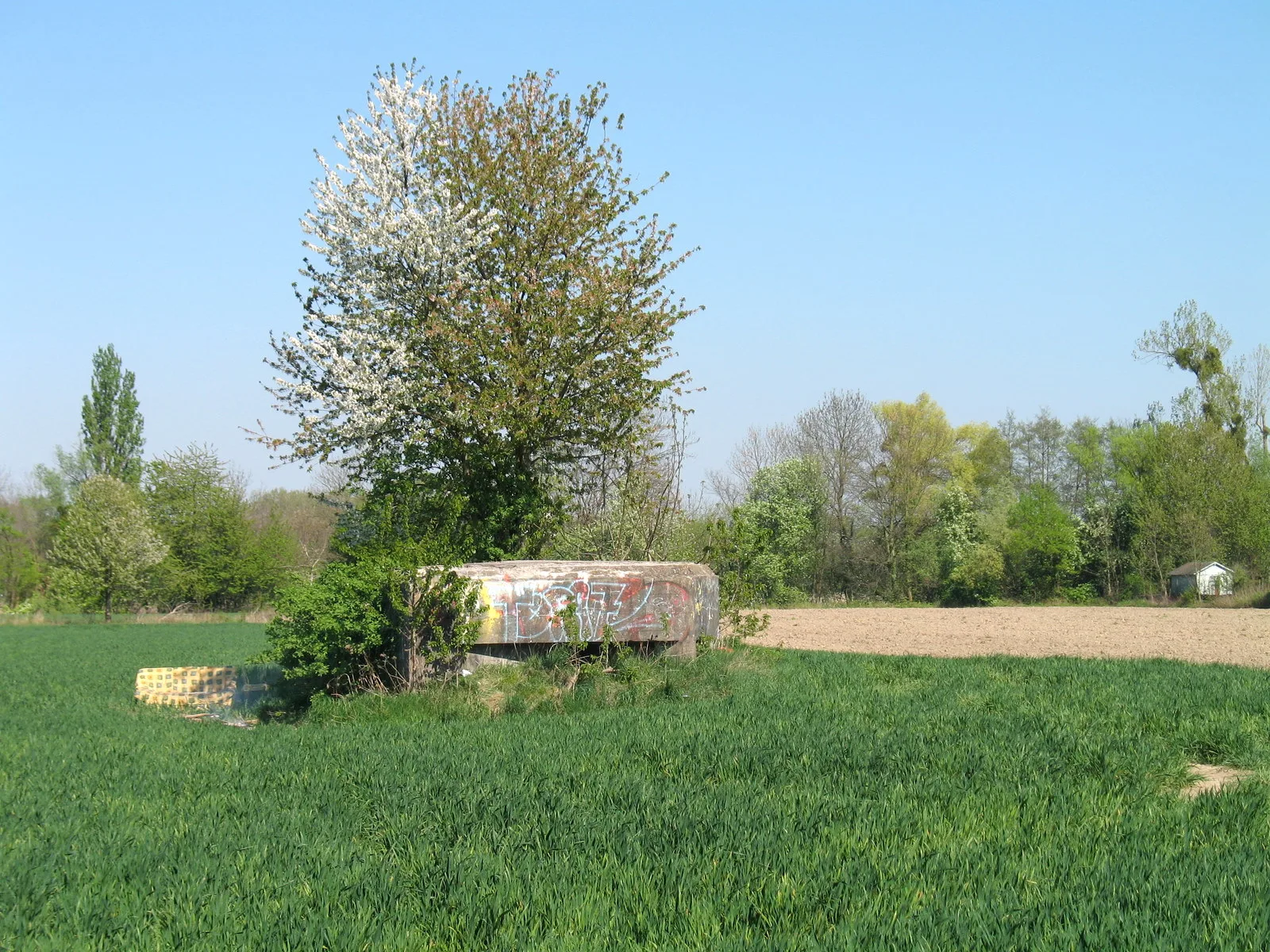 Lac Achard à Schiltigheim — À 2,0 km du lac