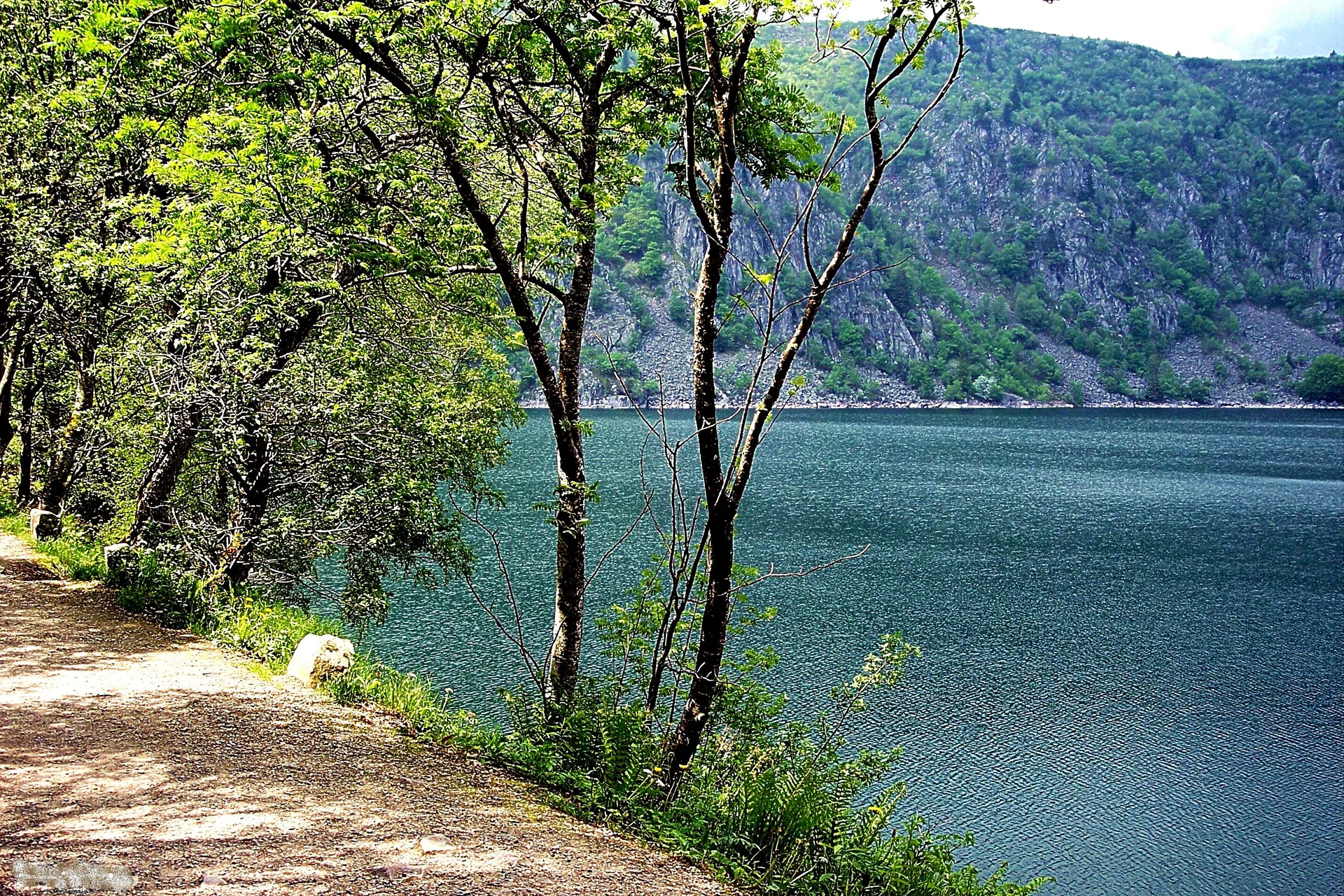Lac Blanc à Orbey — Sur le lac