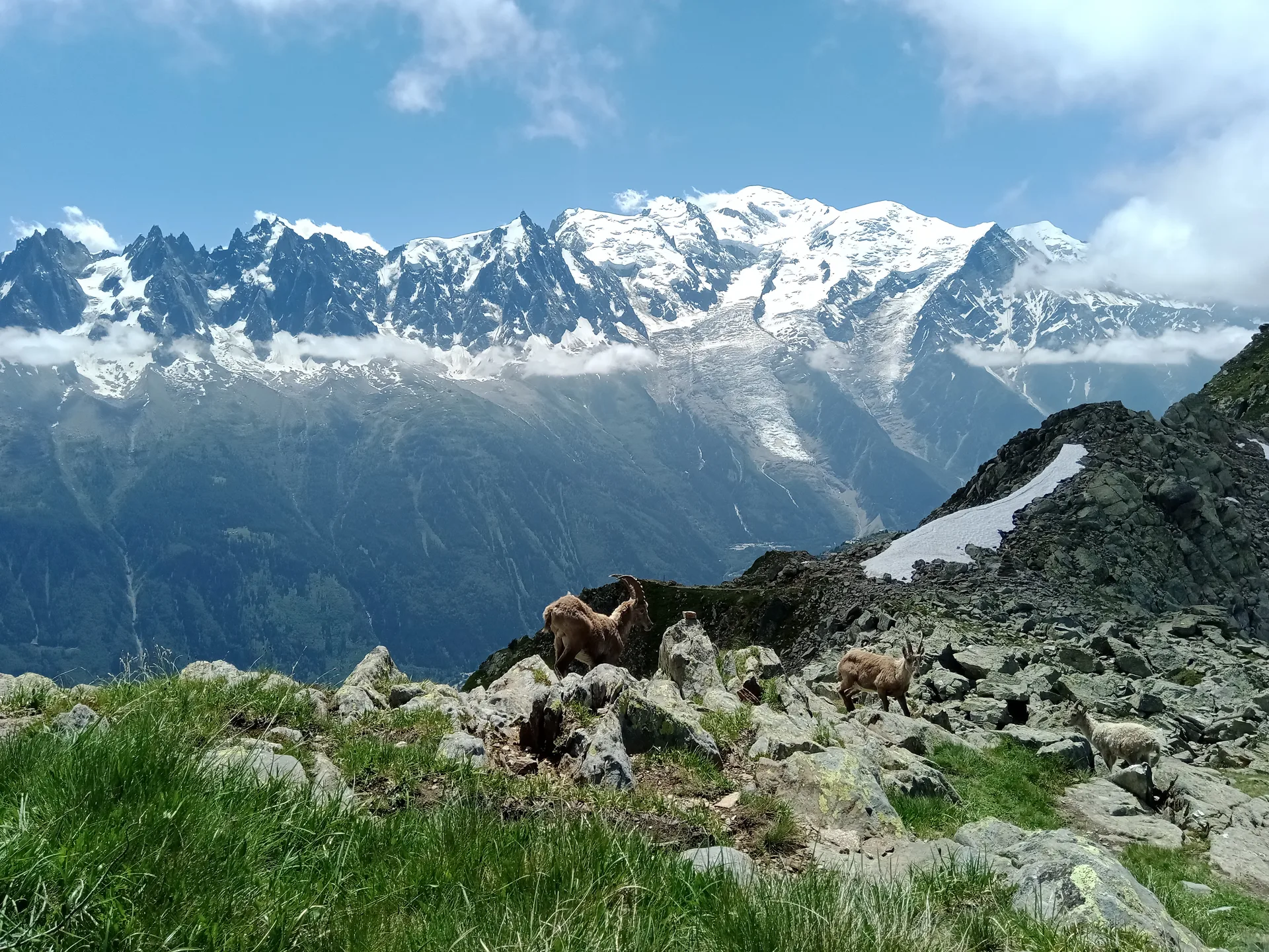 Lac Cornu à Chamonix-Mont-Blanc — À 535 m du lac