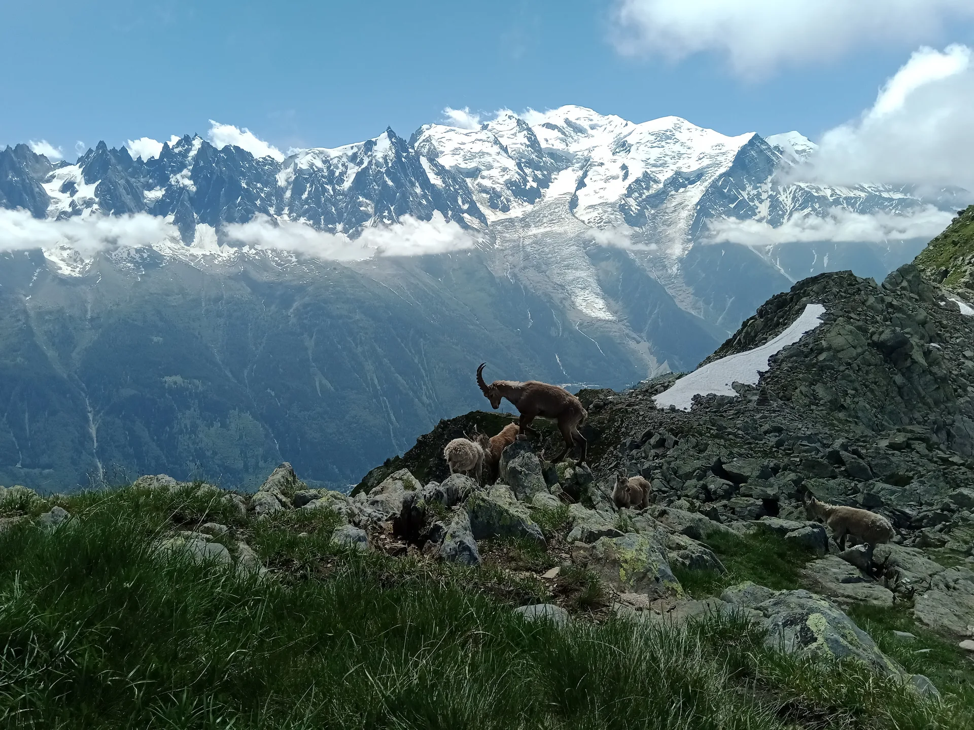 Lac Cornu à Chamonix-Mont-Blanc — À 537 m du lac