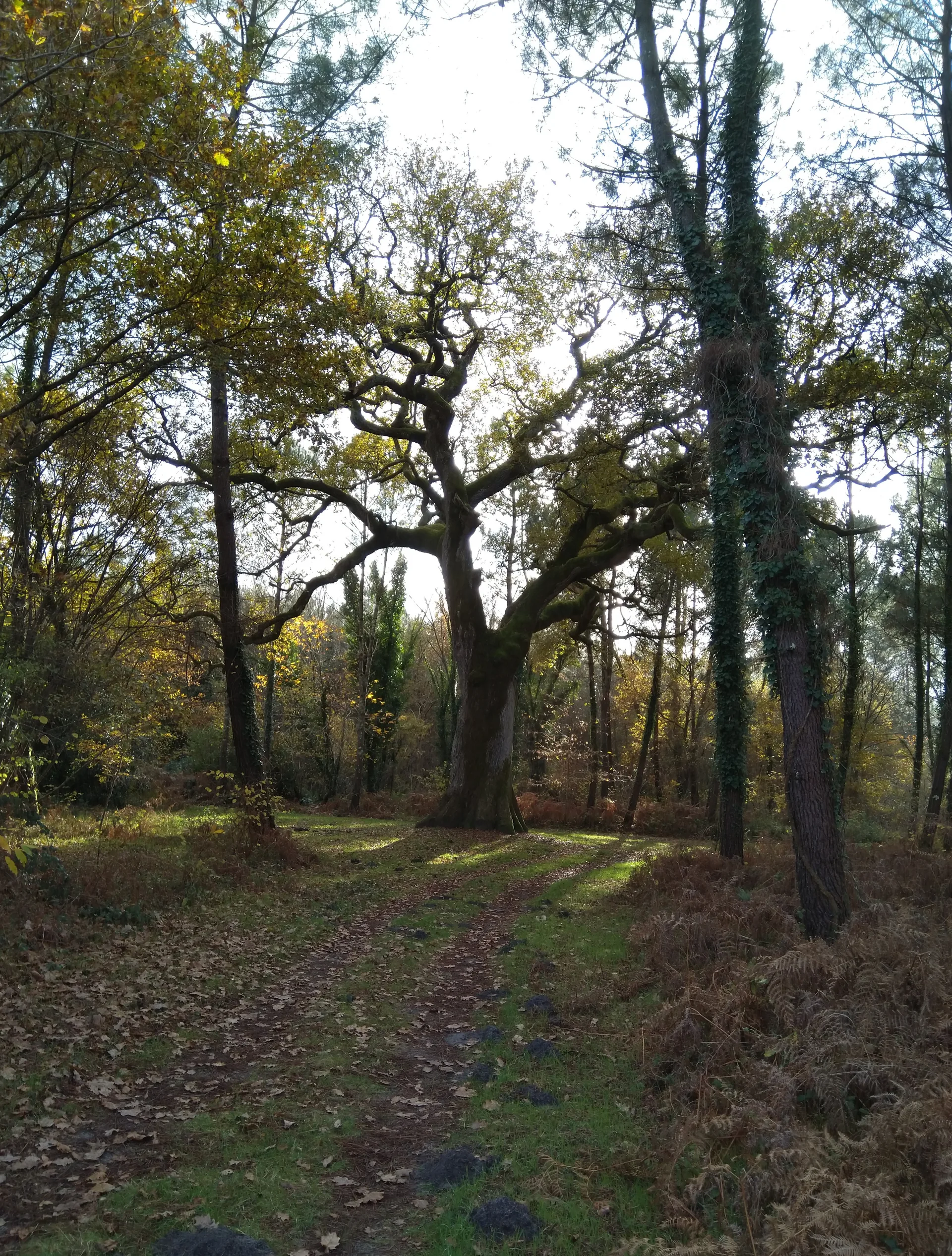 Lac d'Abesse à Saint-Paul-lès-Dax — À 2,0 km du lac