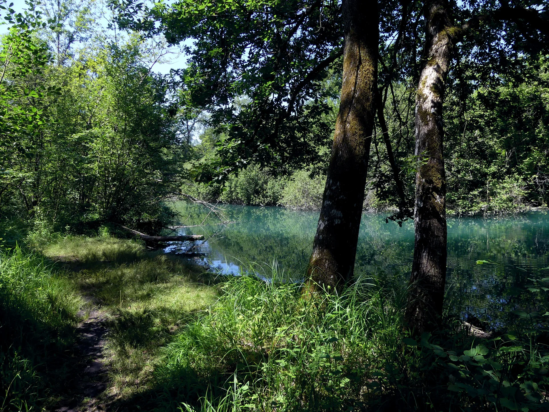 Lac d'Aiguebelette à Lépin-le-Lac — Sur le lac
