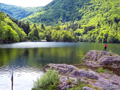 Lac d'Alfeld