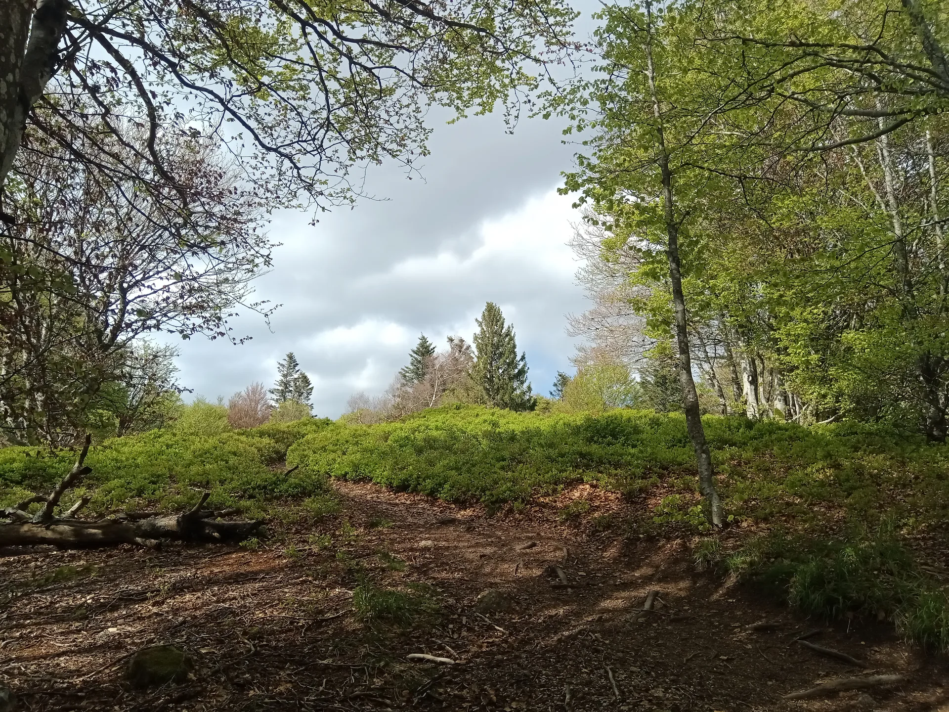 Lac d'Alfeld à Sewen — À 1,2 km du lac