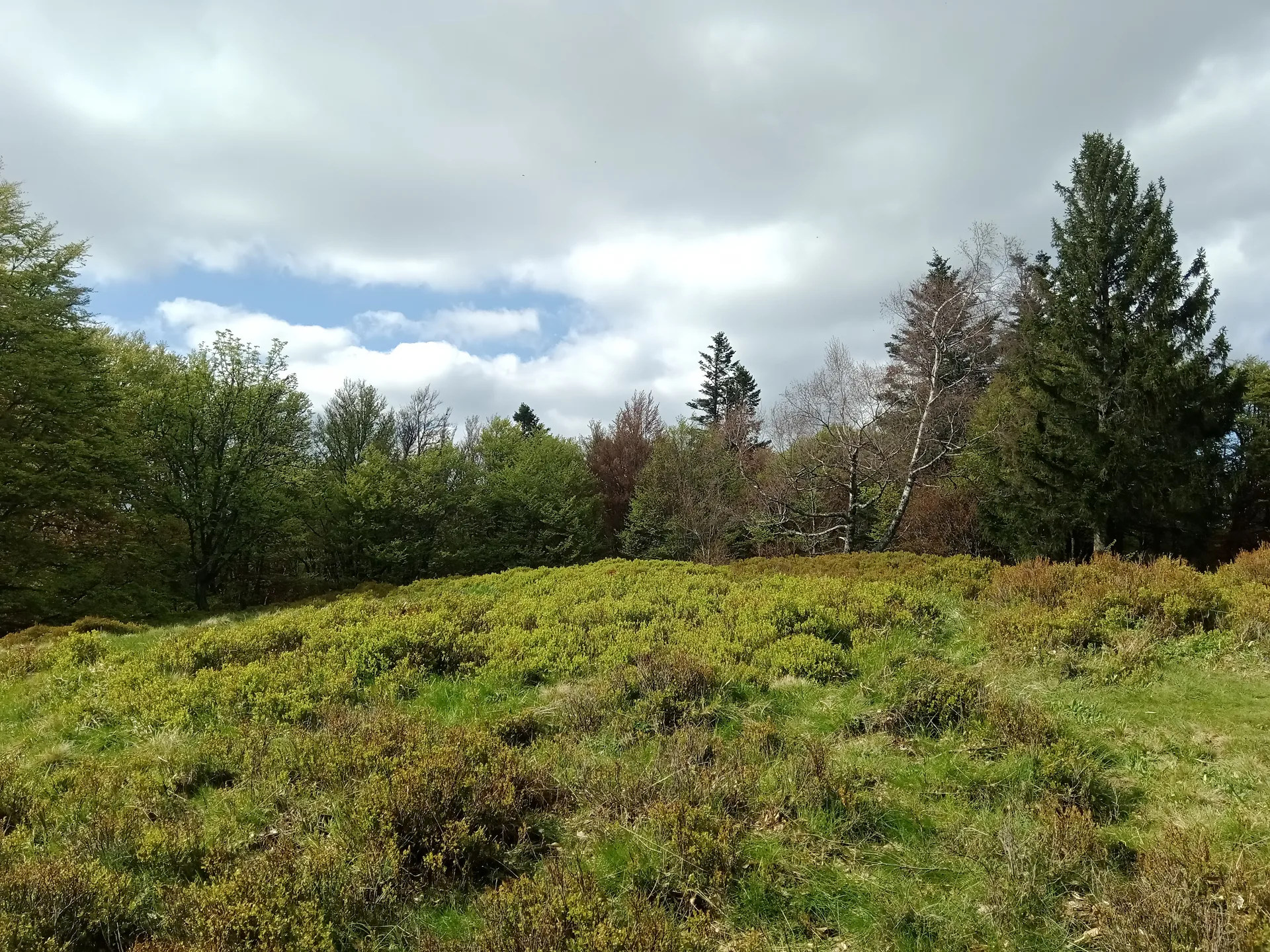 Lac d'Alfeld à Sewen — À 1,2 km du lac
