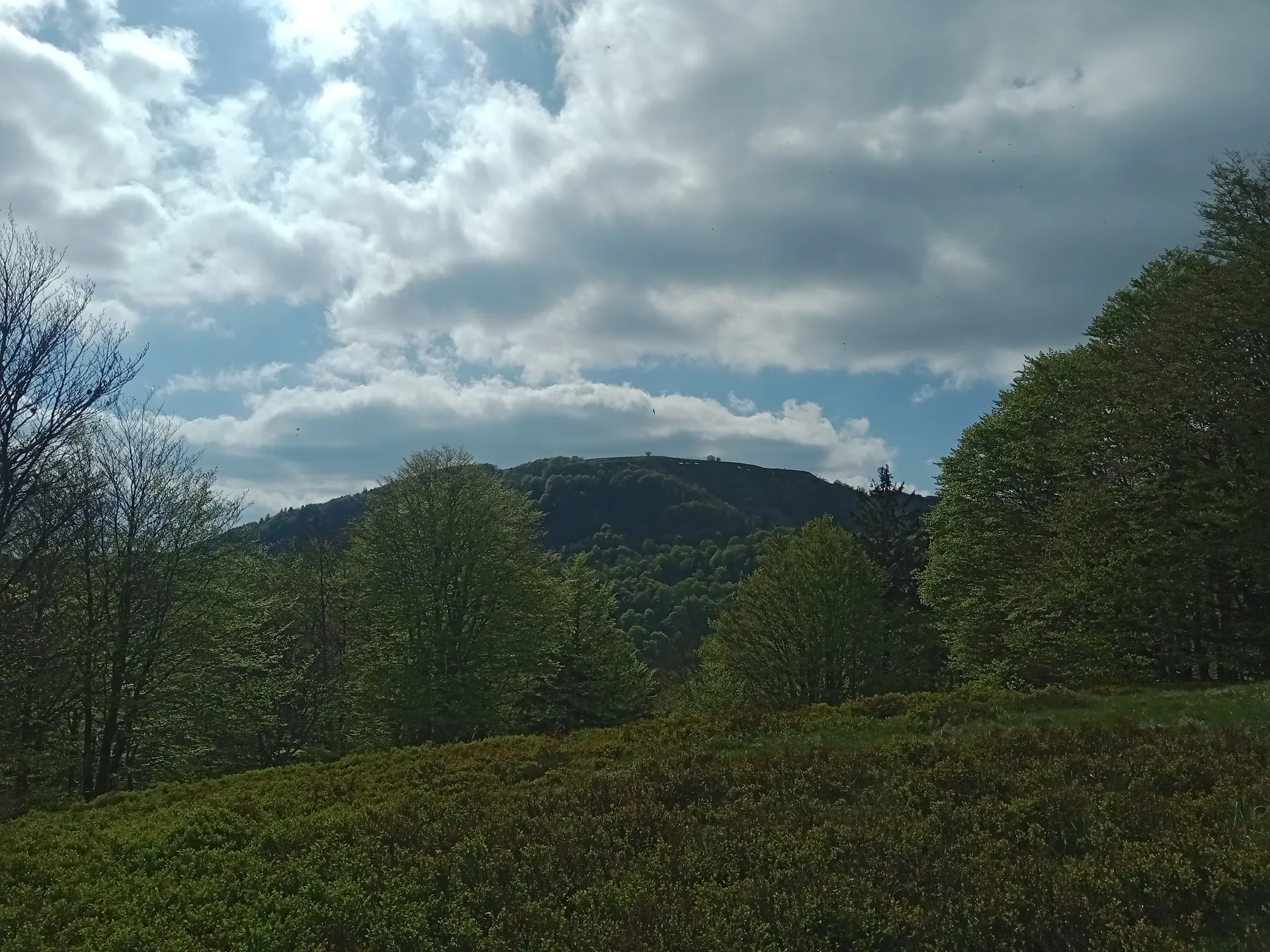 Lac d'Alfeld à Sewen — À 1,2 km du lac