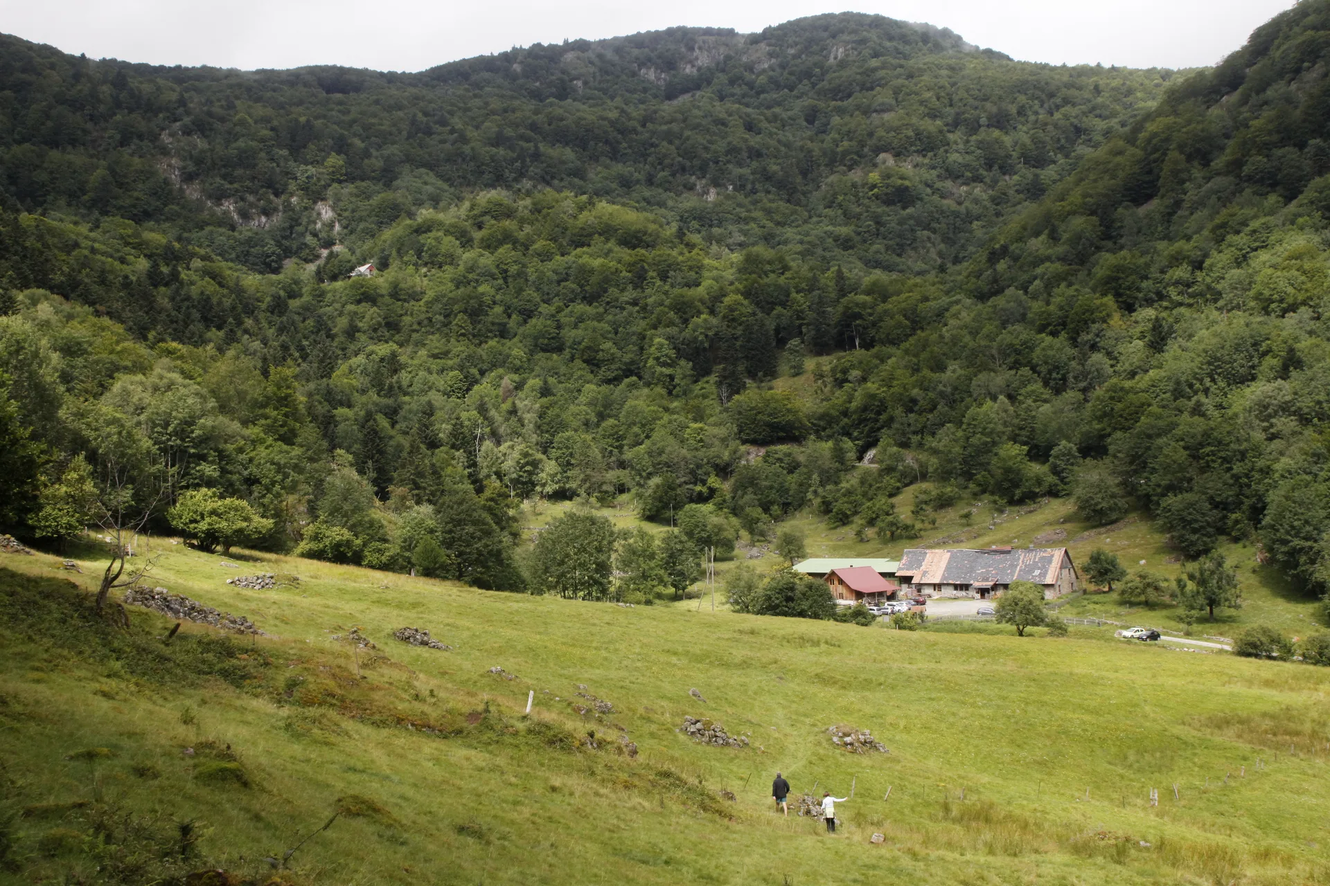 Lac d'Alfeld à Sewen — À 1,2 km du lac
