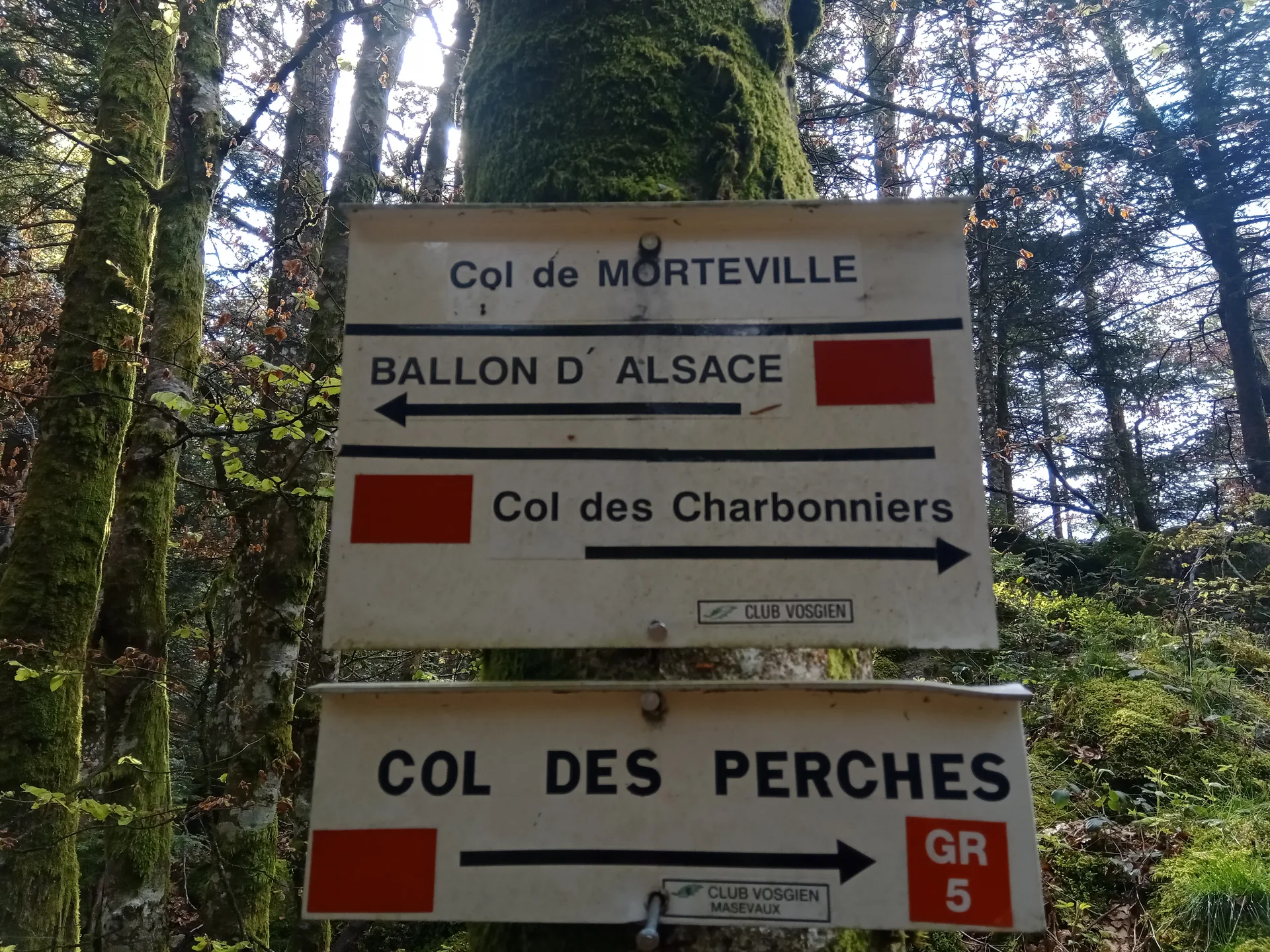 Lac d'Alfeld à Sewen — À 1,4 km du lac