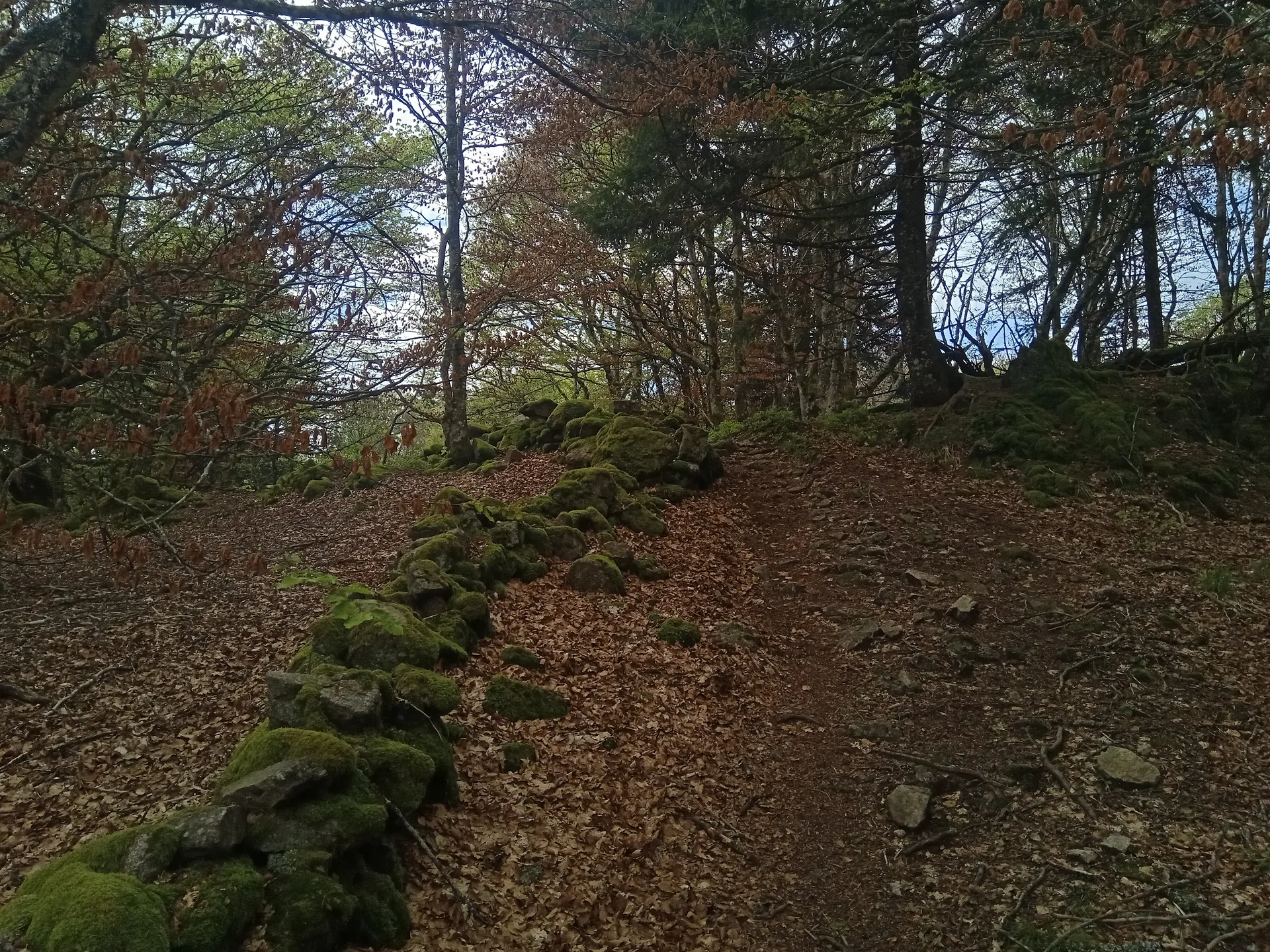 Lac d'Alfeld à Sewen — À 1,4 km du lac
