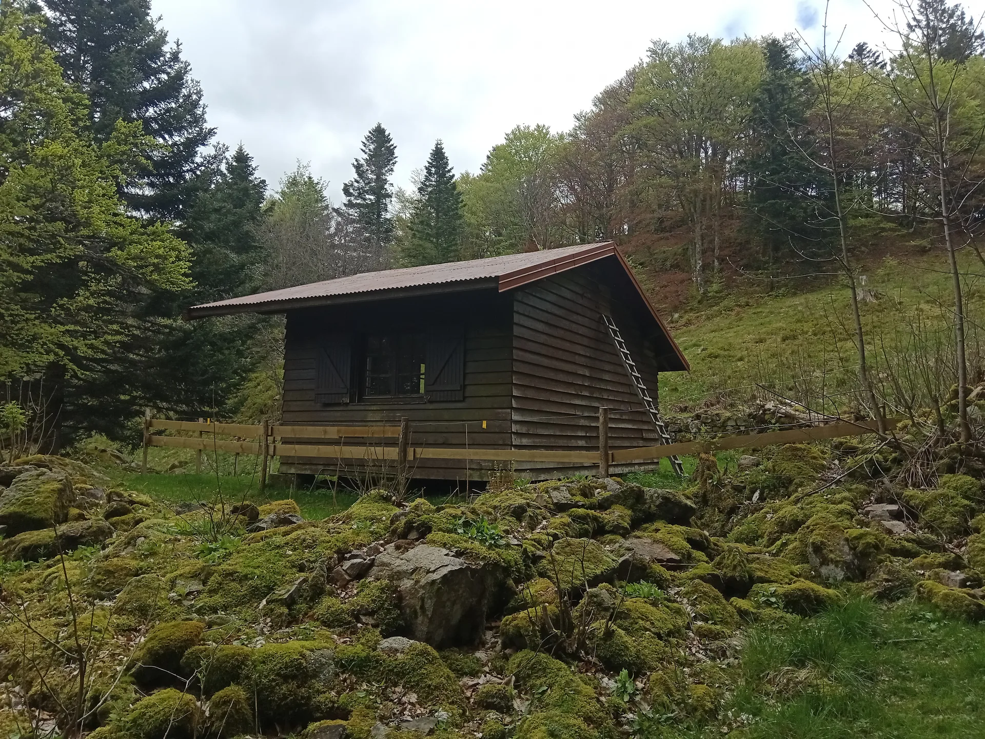 Lac d'Alfeld à Sewen — À 1,6 km du lac