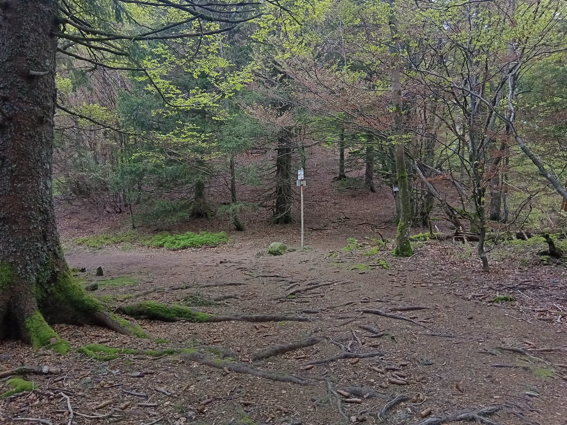 Lac d'Alfeld à Sewen — À 1,7 km du lac