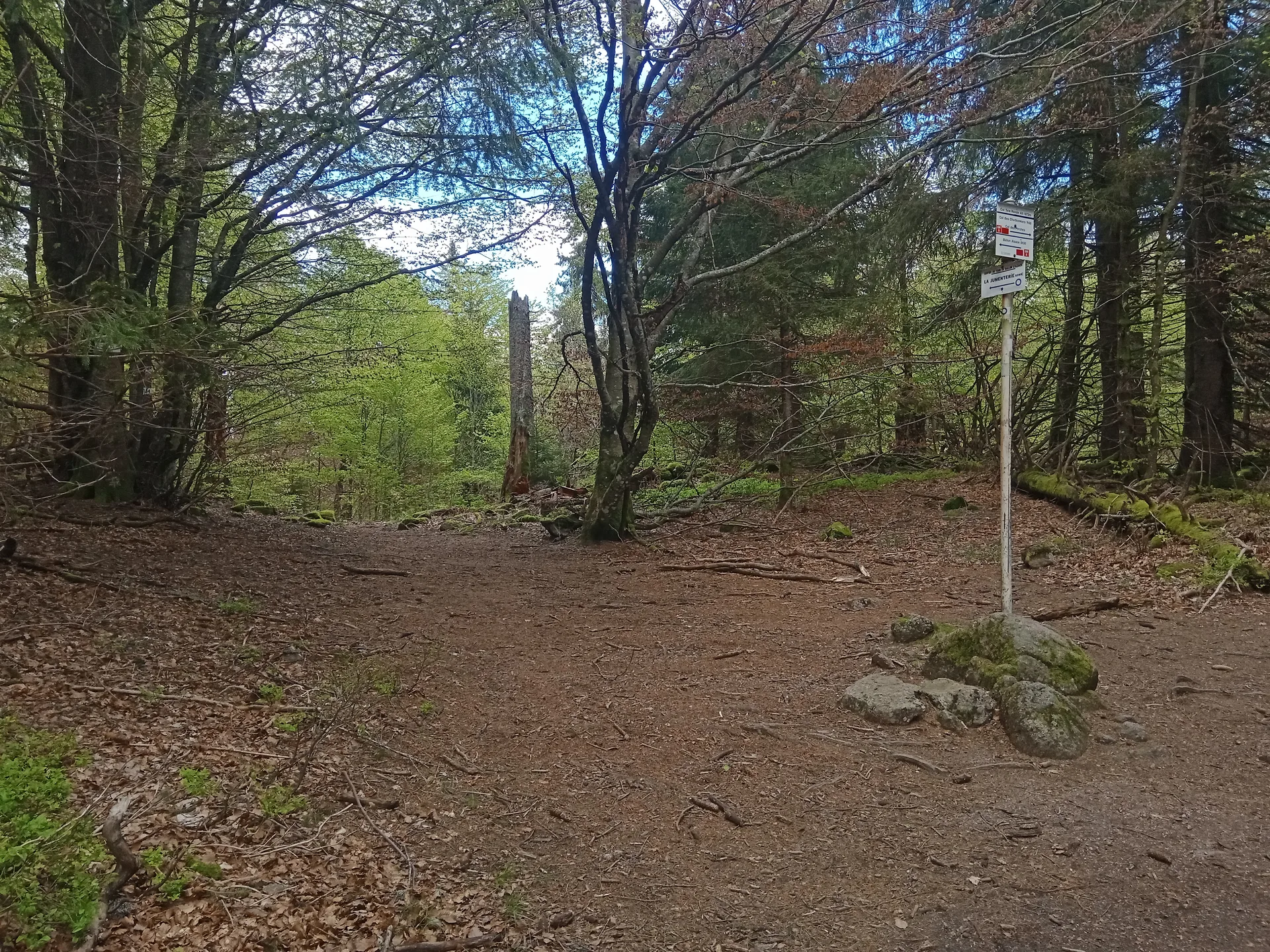 Lac d'Alfeld à Sewen — À 1,7 km du lac