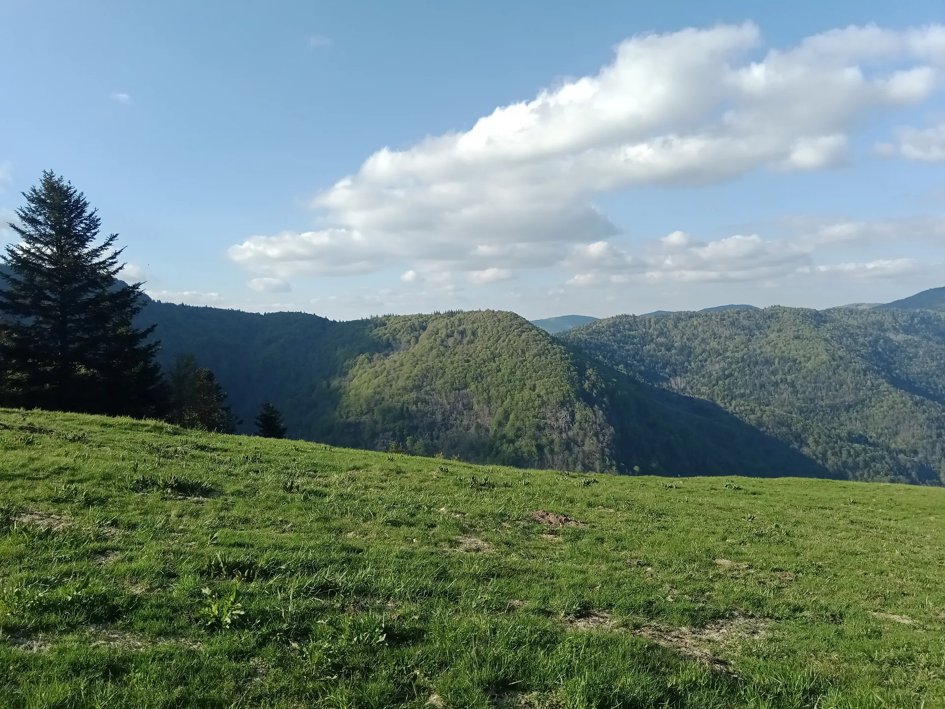 Lac d'Alfeld à Sewen — À 1,8 km du lac