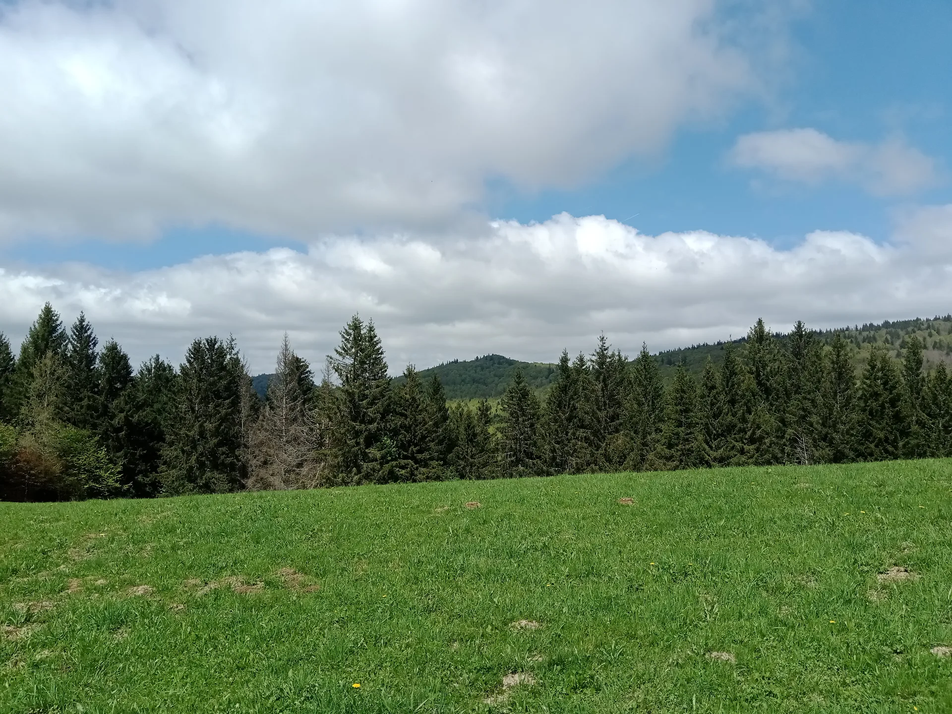 Lac d'Alfeld à Sewen — À 1,8 km du lac