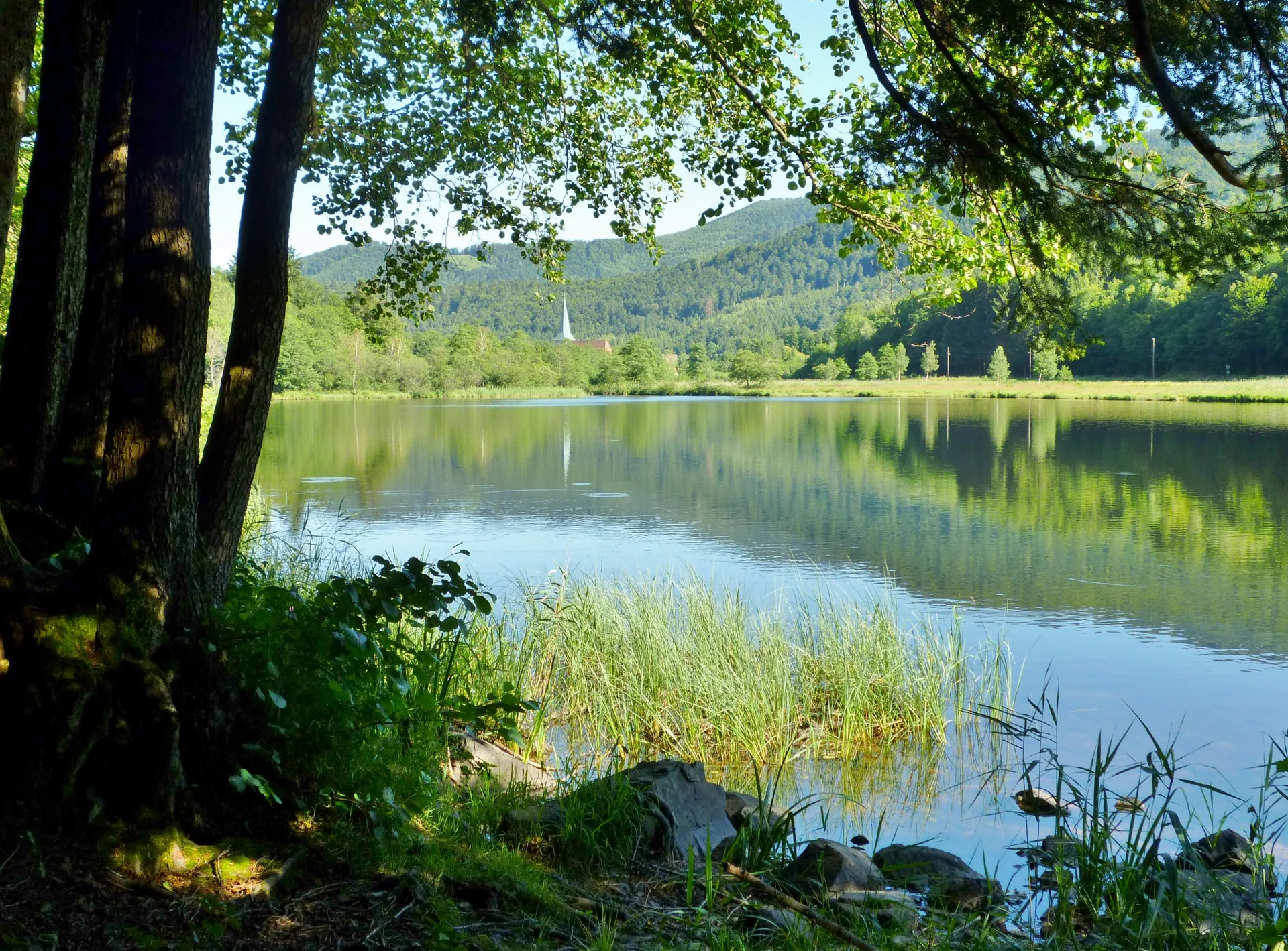 Lac d'Alfeld à Sewen — À 2,0 km du lac