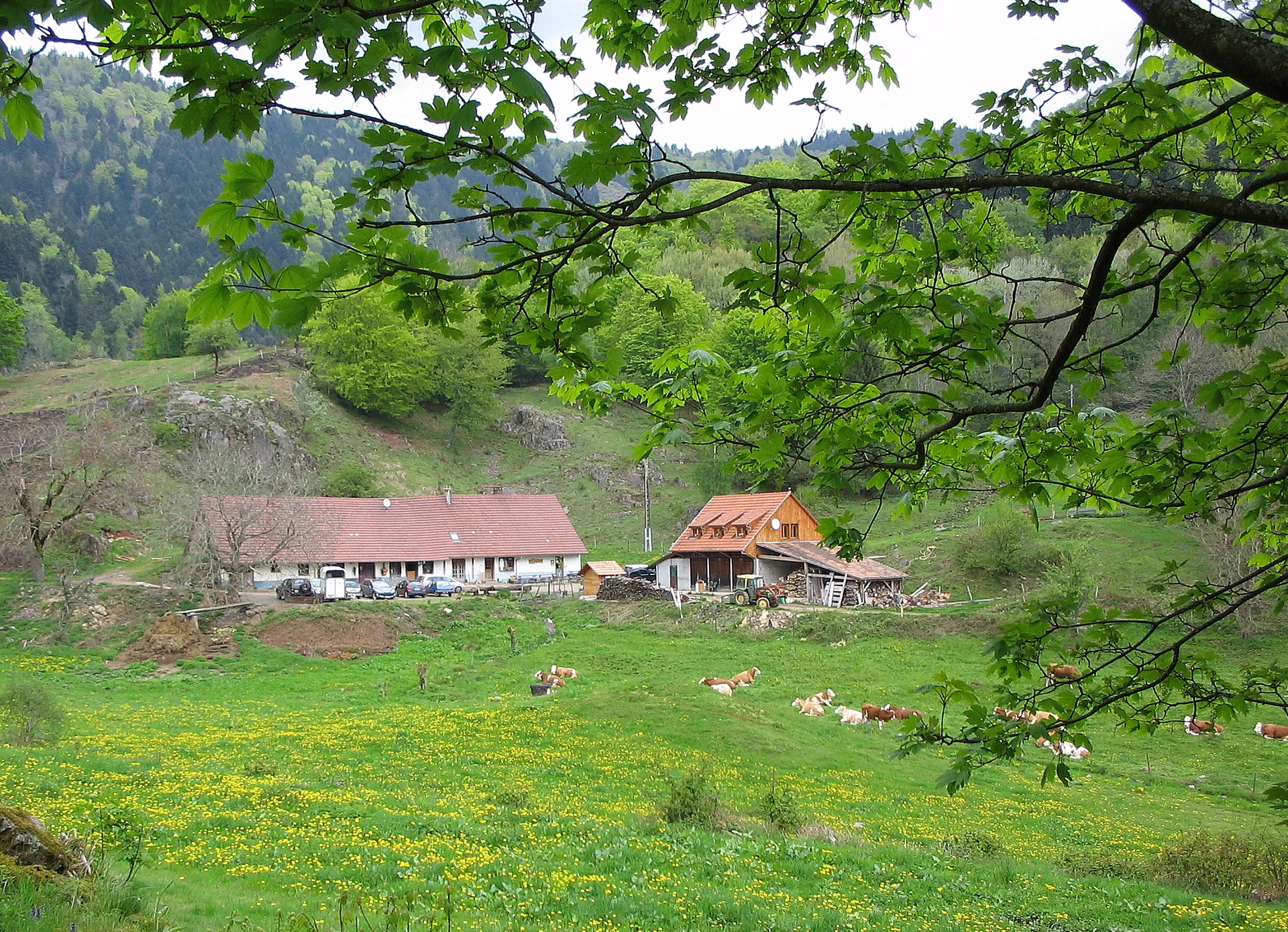 Lac d'Alfeld à Sewen — À 1,0 km du lac