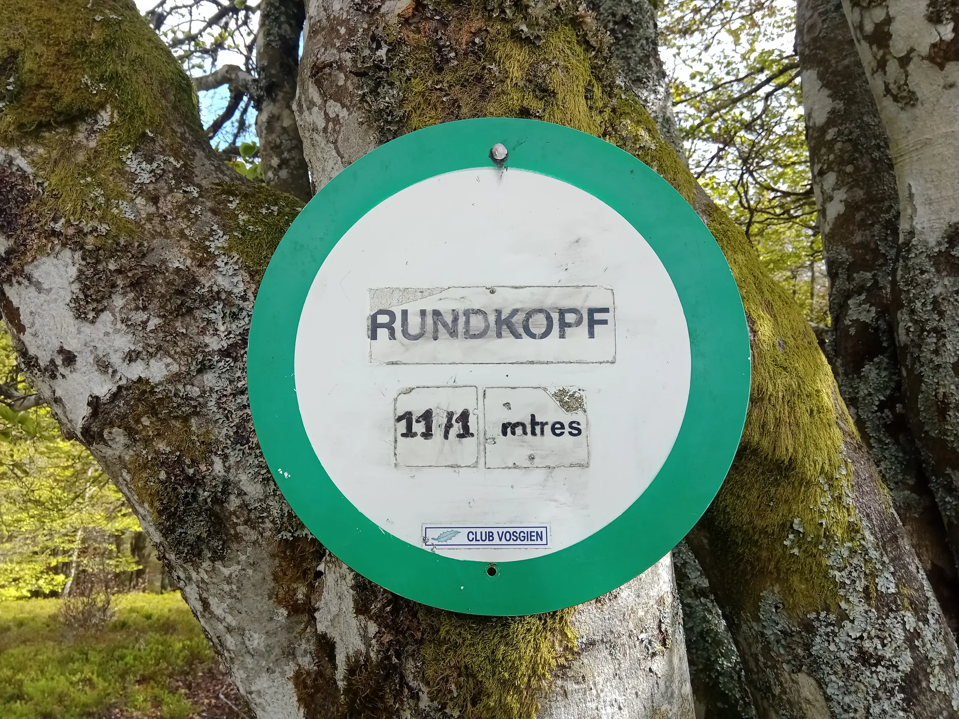 Lac d'Alfeld à Sewen — À 1,2 km du lac