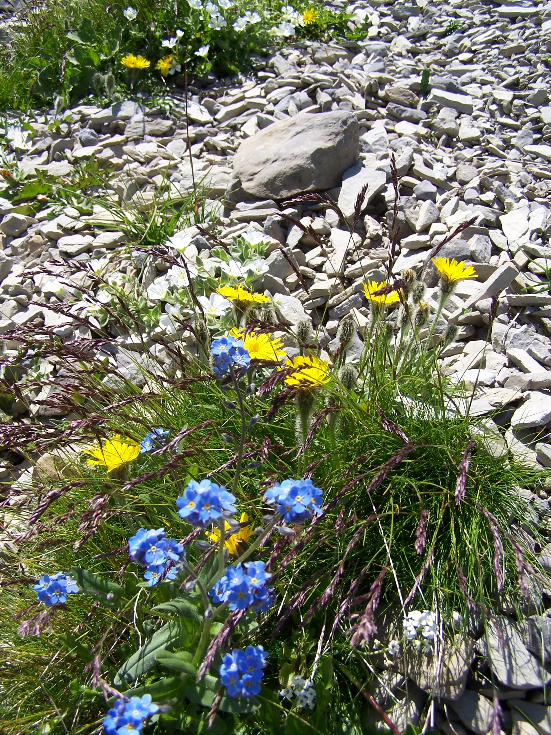 Lac d'Anterne à Passy — À 631 m du lac