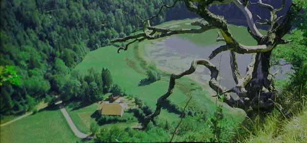 Lac d'Antre à Villards-d'Héria — À 470 m du lac