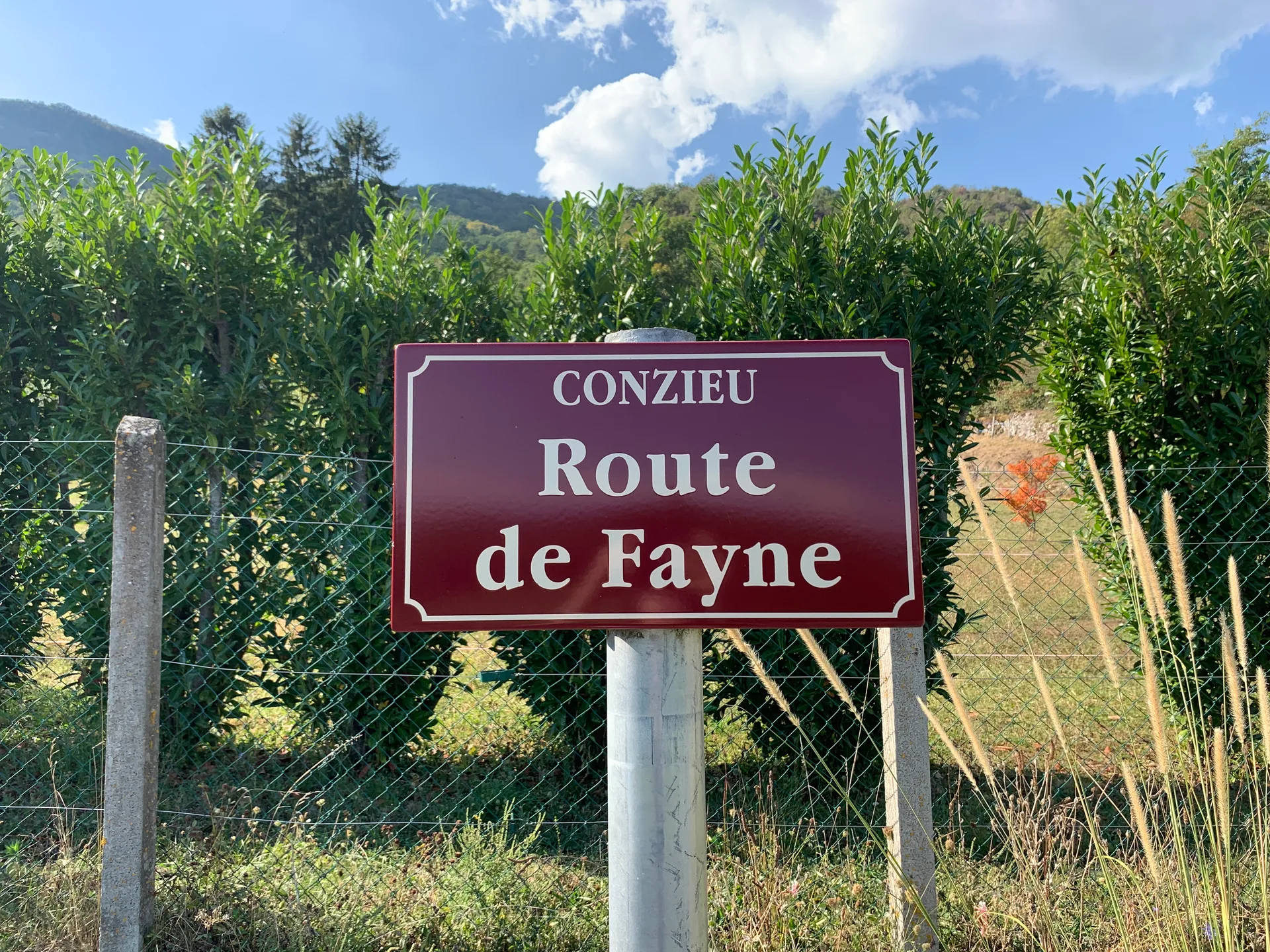 Lac d'Arboniaz à Colomieu — À 1,4 km du lac