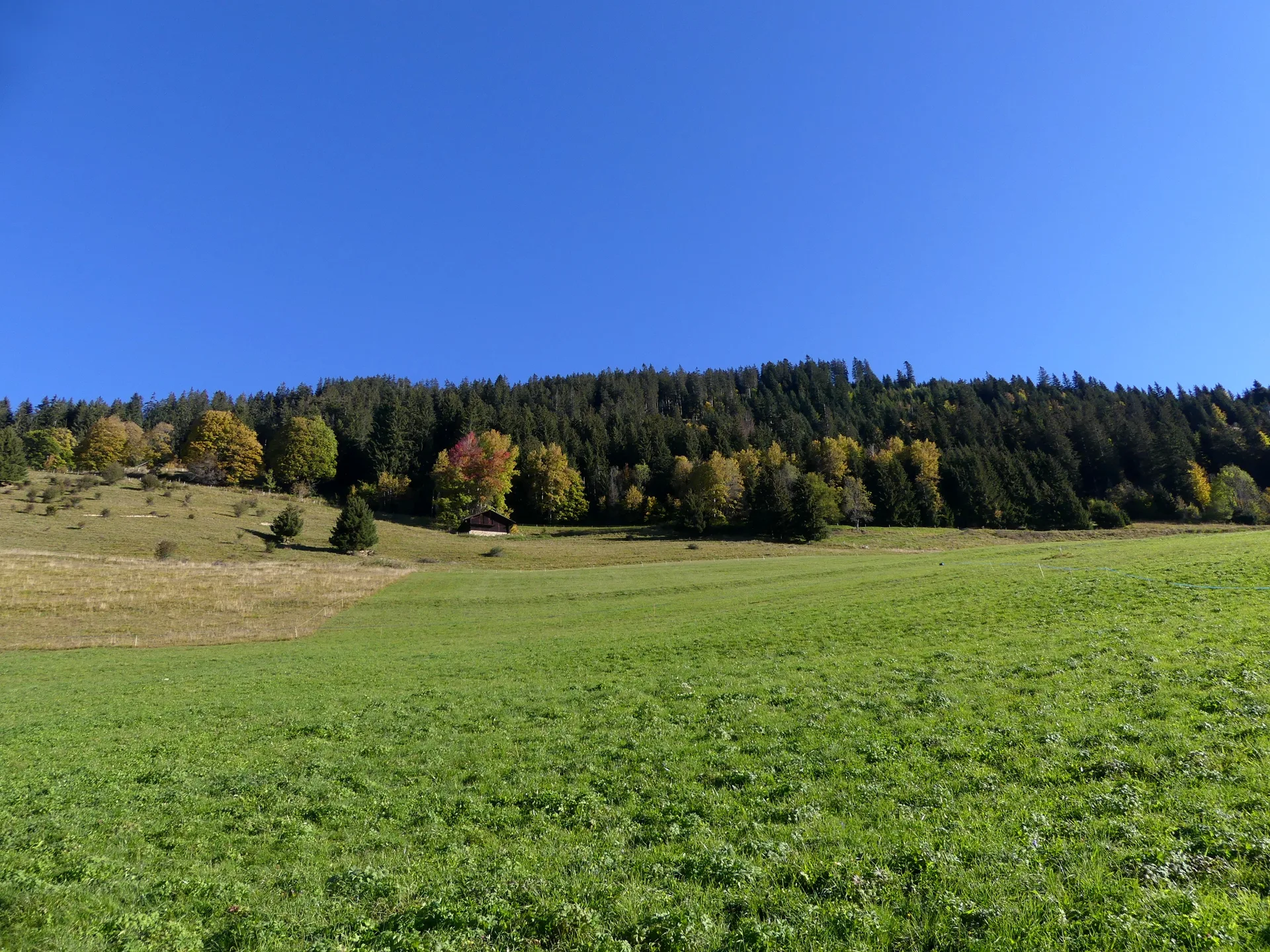 Lac d'arvouin à La Chapelle-d'Abondance — À 2,2 km du lac