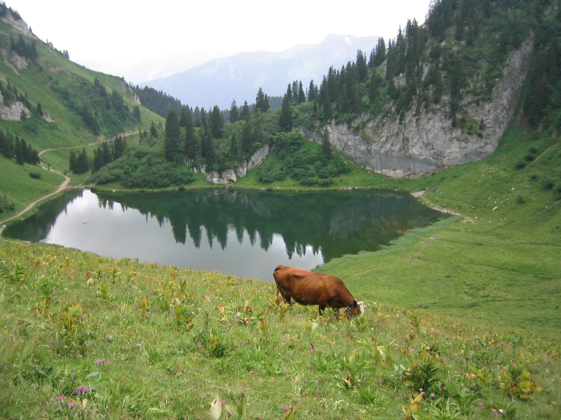 Lac d'arvouin à La Chapelle-d'Abondance — À 1,3 km du lac