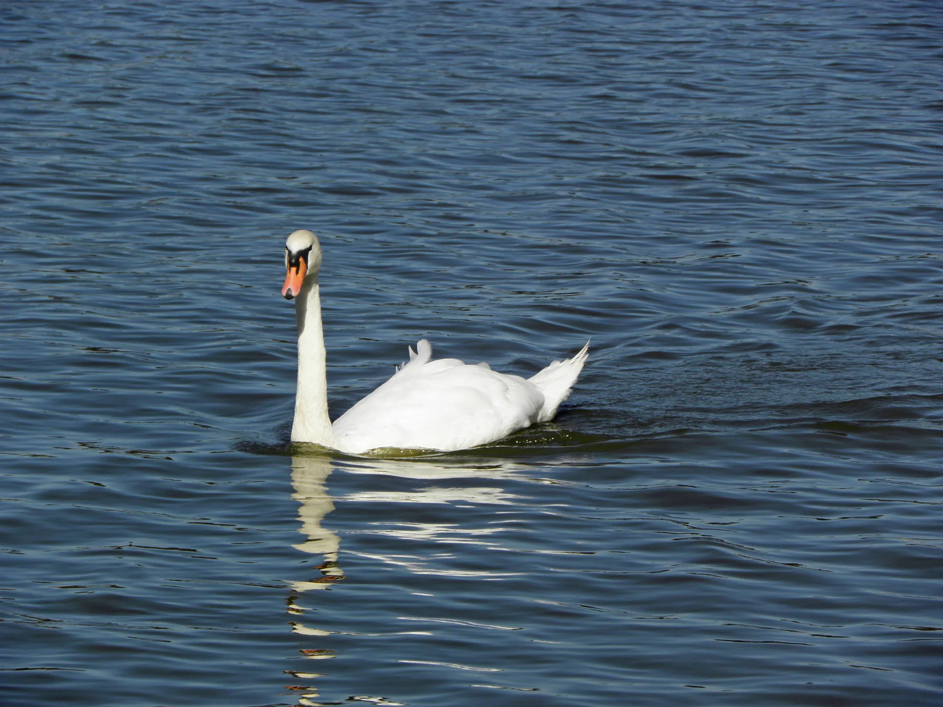 Lac d'Enghien à Enghien-les-Bains — À 263 m du lac