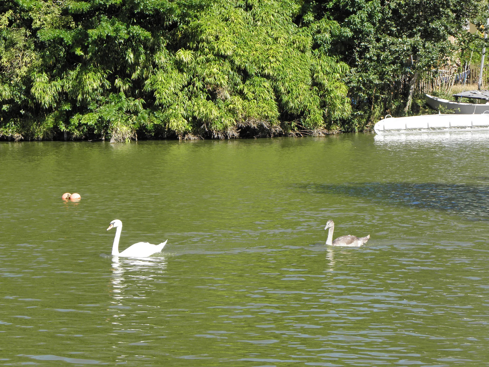 Lac d'Enghien à Enghien-les-Bains — À 264 m du lac