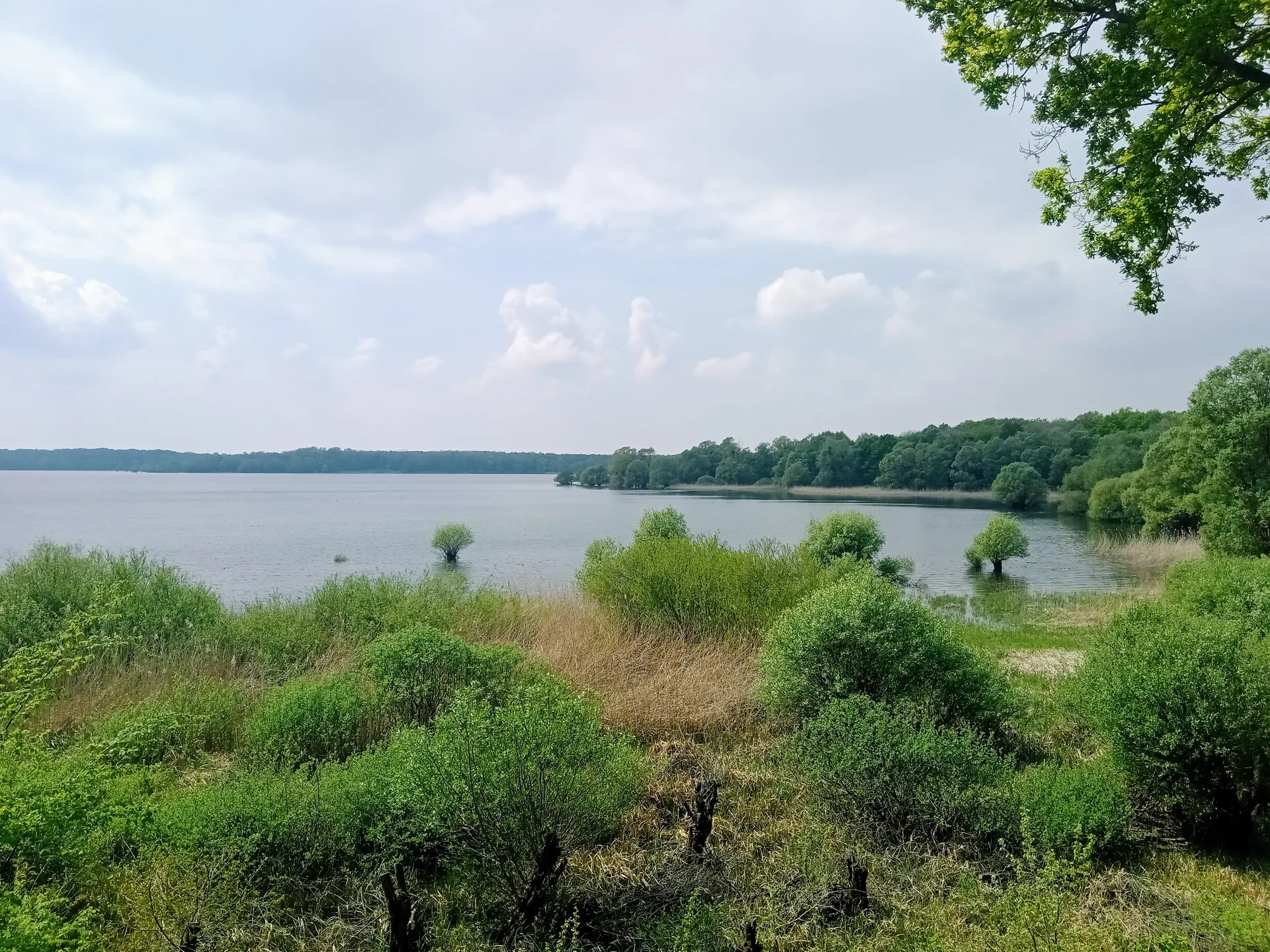 Lac d'Orient   Foret d'orient à Mesnil-Saint-Père — À 1,2 km du lac